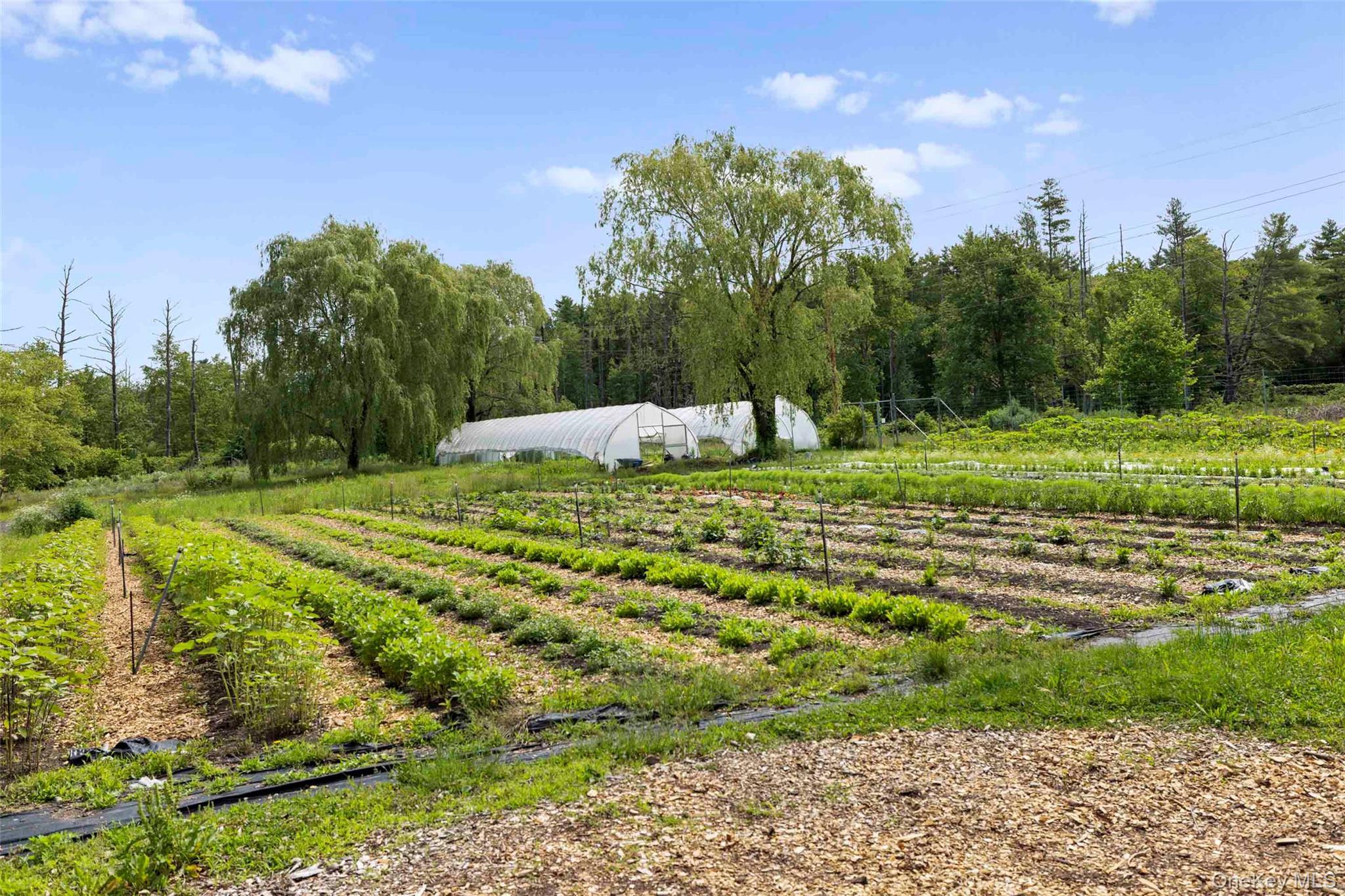Single Family Route 212  Ulster County, NY 12477, MLS-1016441-48