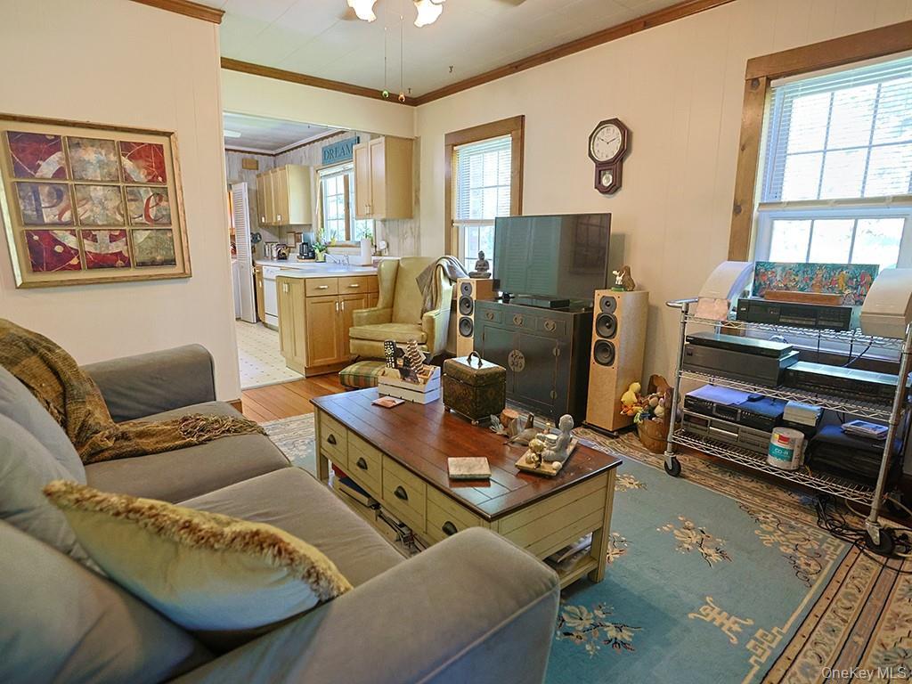 Single Family Highview Avenue Sullivan County, NY 12790, MLS-1016442-13