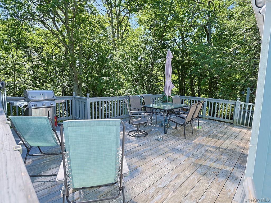 Single Family Highview Avenue Sullivan County, NY 12790, MLS-1016442-36