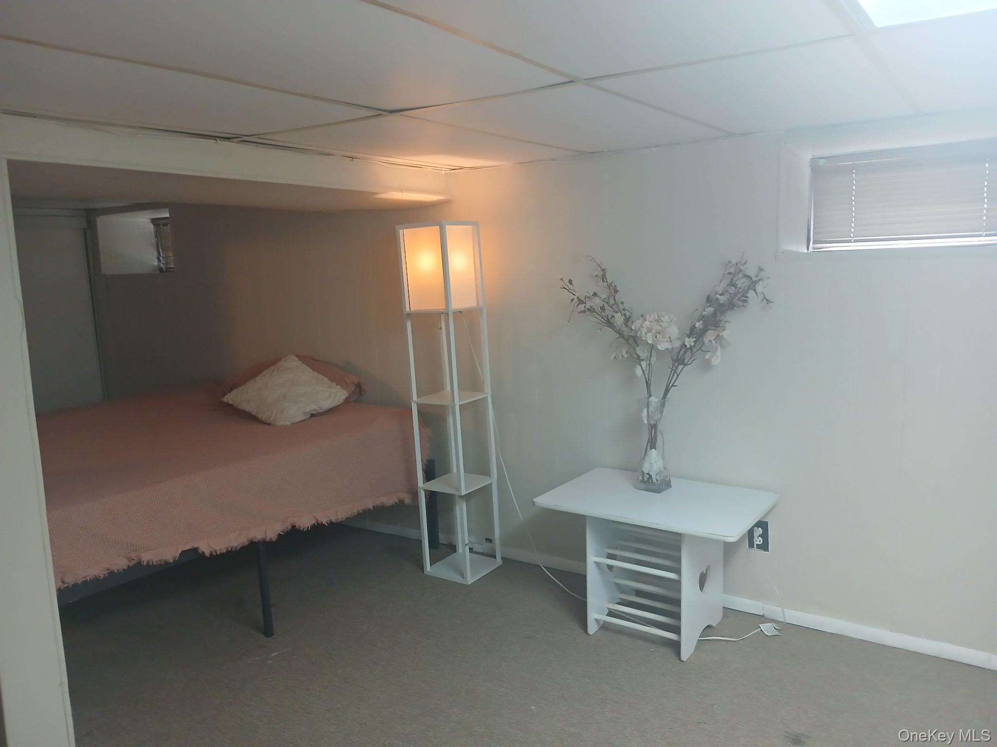 Single Family Commonwealth Boulevard Queens, NY 11426, MLS-1016455-25