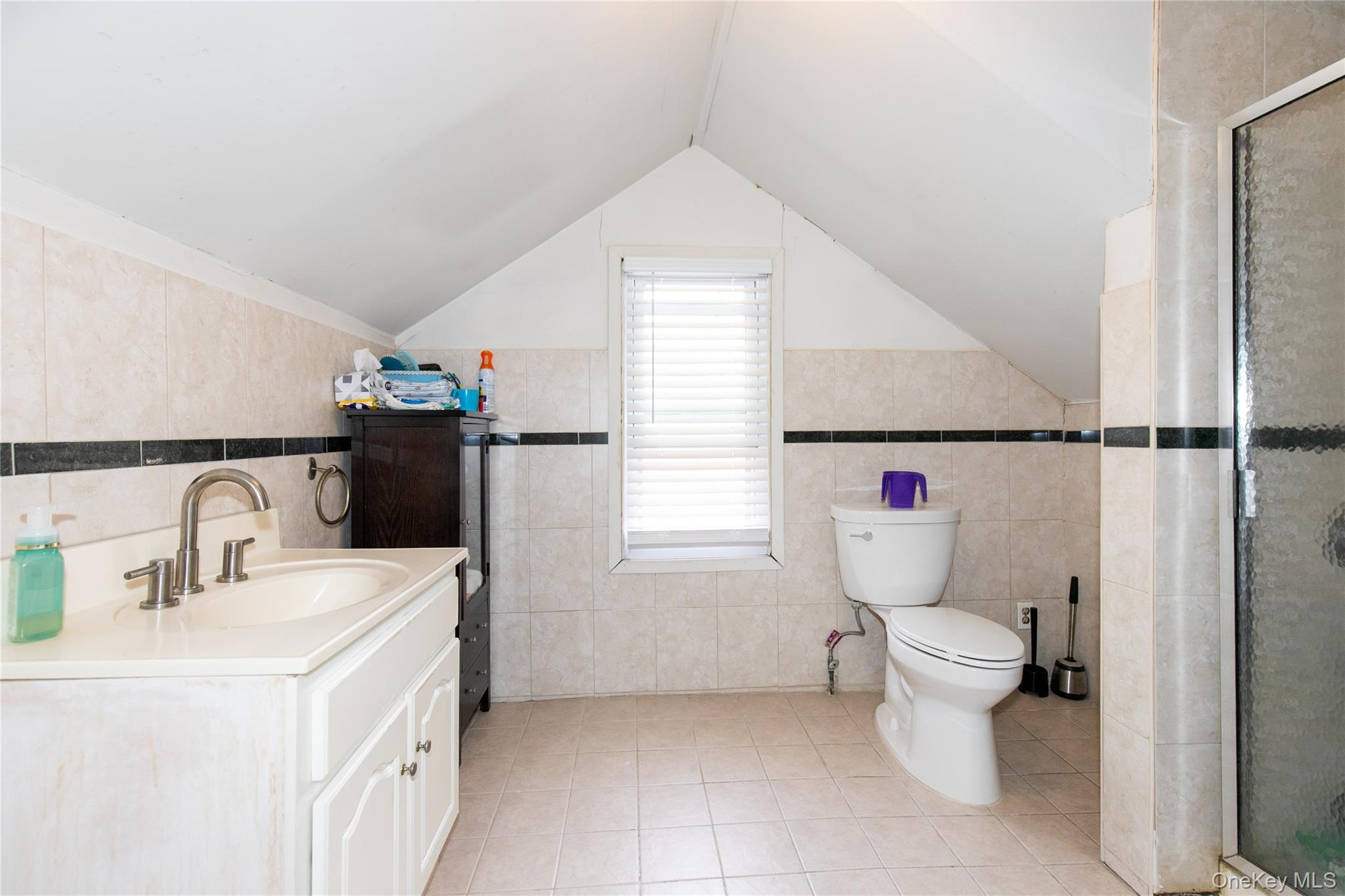 Single Family Summit Avenue  Nassau County, NY 11516, MLS-1016485-19