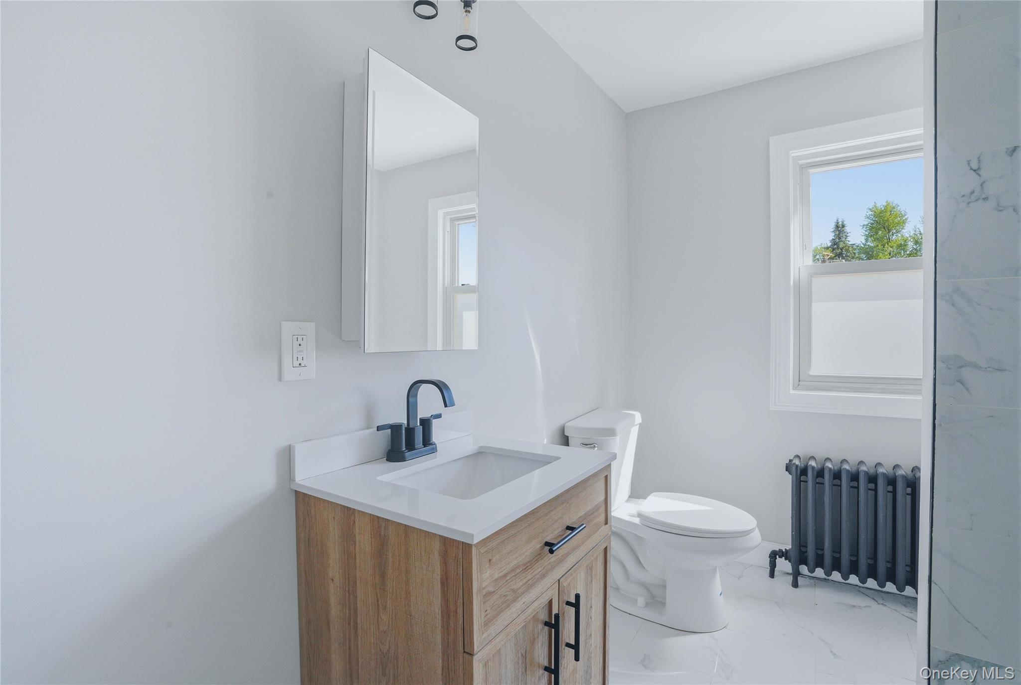 Single Family Harwich Street  Ulster County, NY 12401, MLS-1016572-14