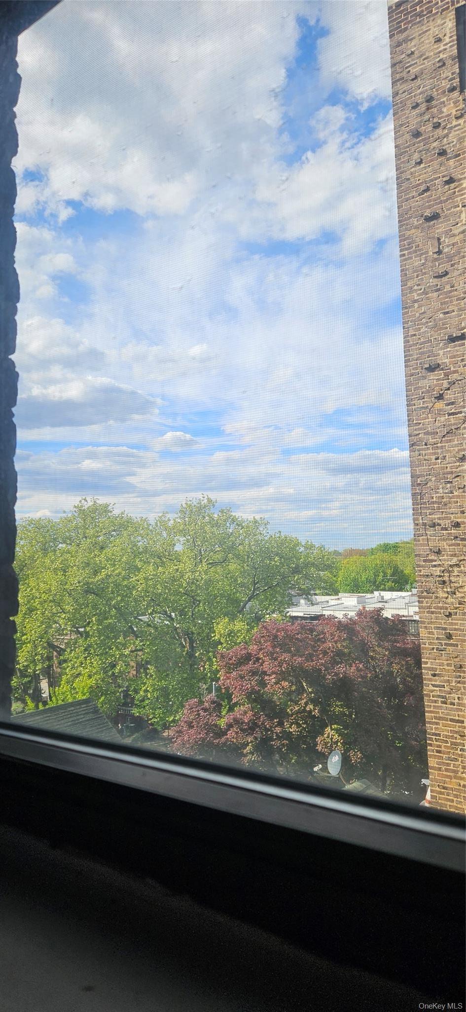 Coop Bay Ridge Parkway  Brooklyn, NY 11209, MLS-1016575-12