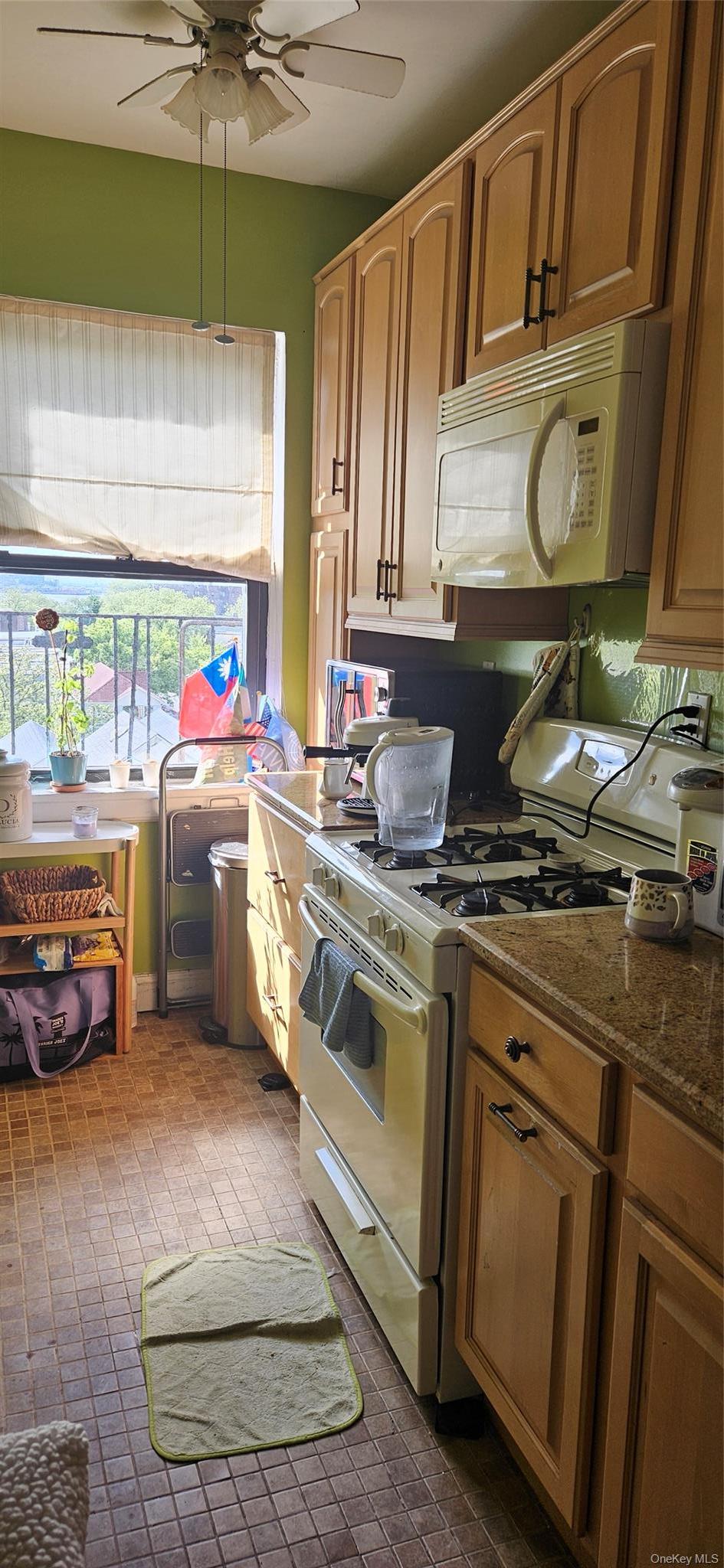 Coop Bay Ridge Parkway Brooklyn, NY 11209, MLS-1016575-5