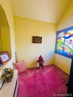 Single Family 157th Avenue Queens, NY 11414, MLS-1016618-12