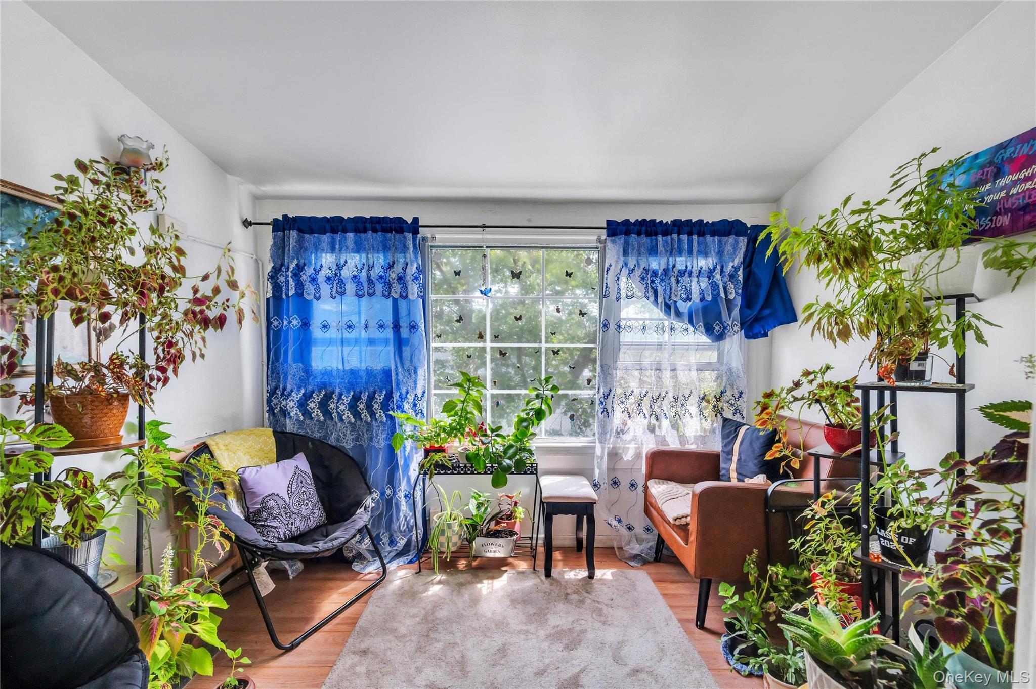 Single Family Van Wyck Expressway Queens, NY 11419, MLS-1016632-18