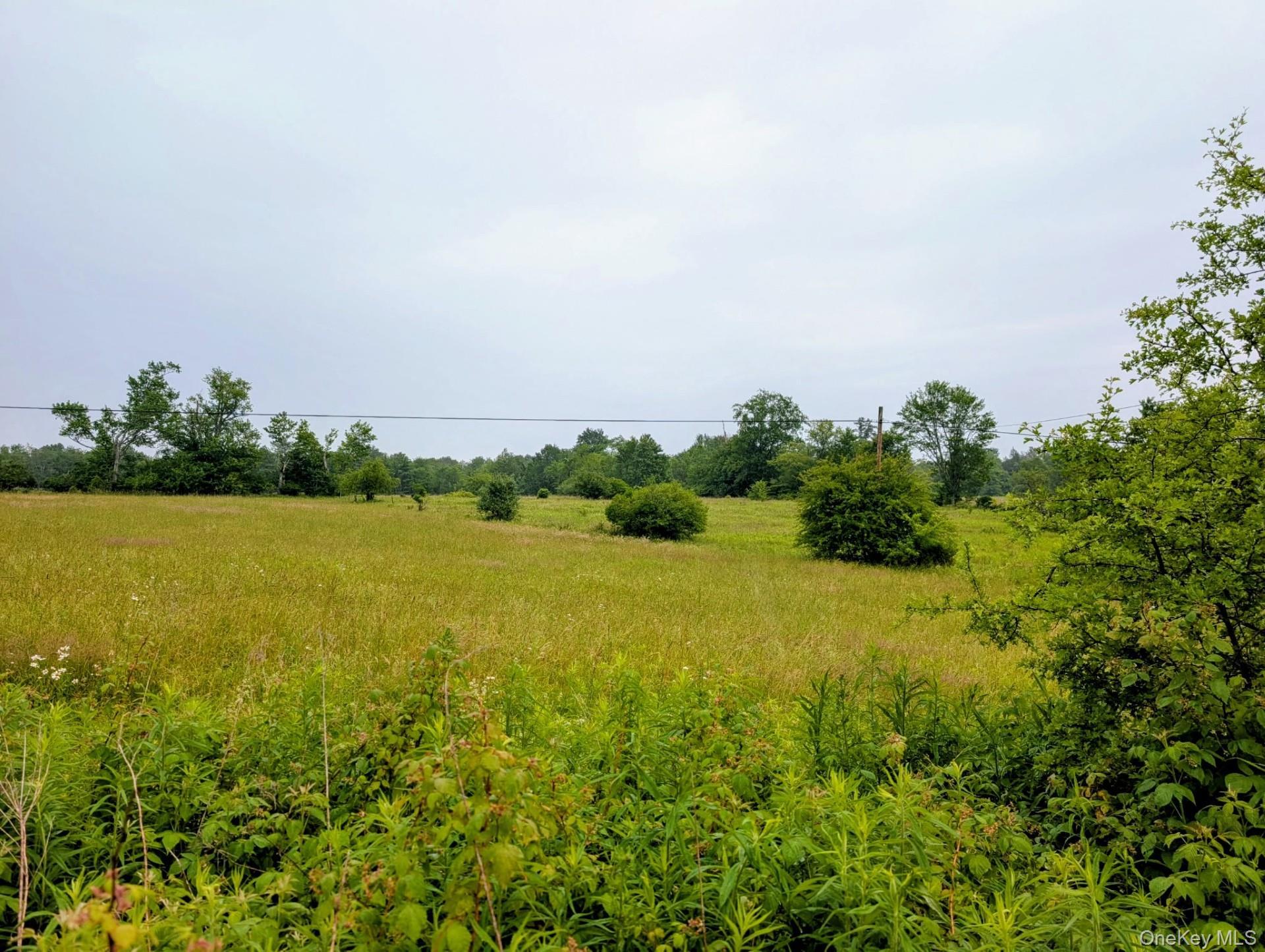 Single Family Gabriel Road Sullivan County, NY 12726, MLS-1016686-4