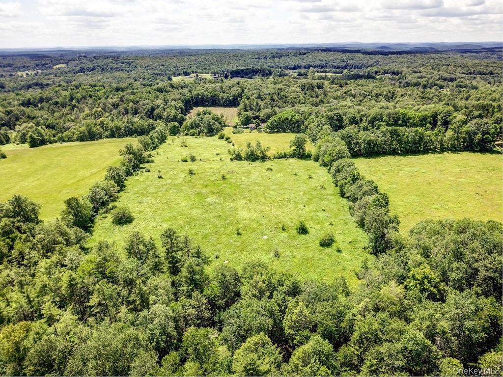 Single Family Gabriel Road  Sullivan County, NY 12726, MLS-1016686-7