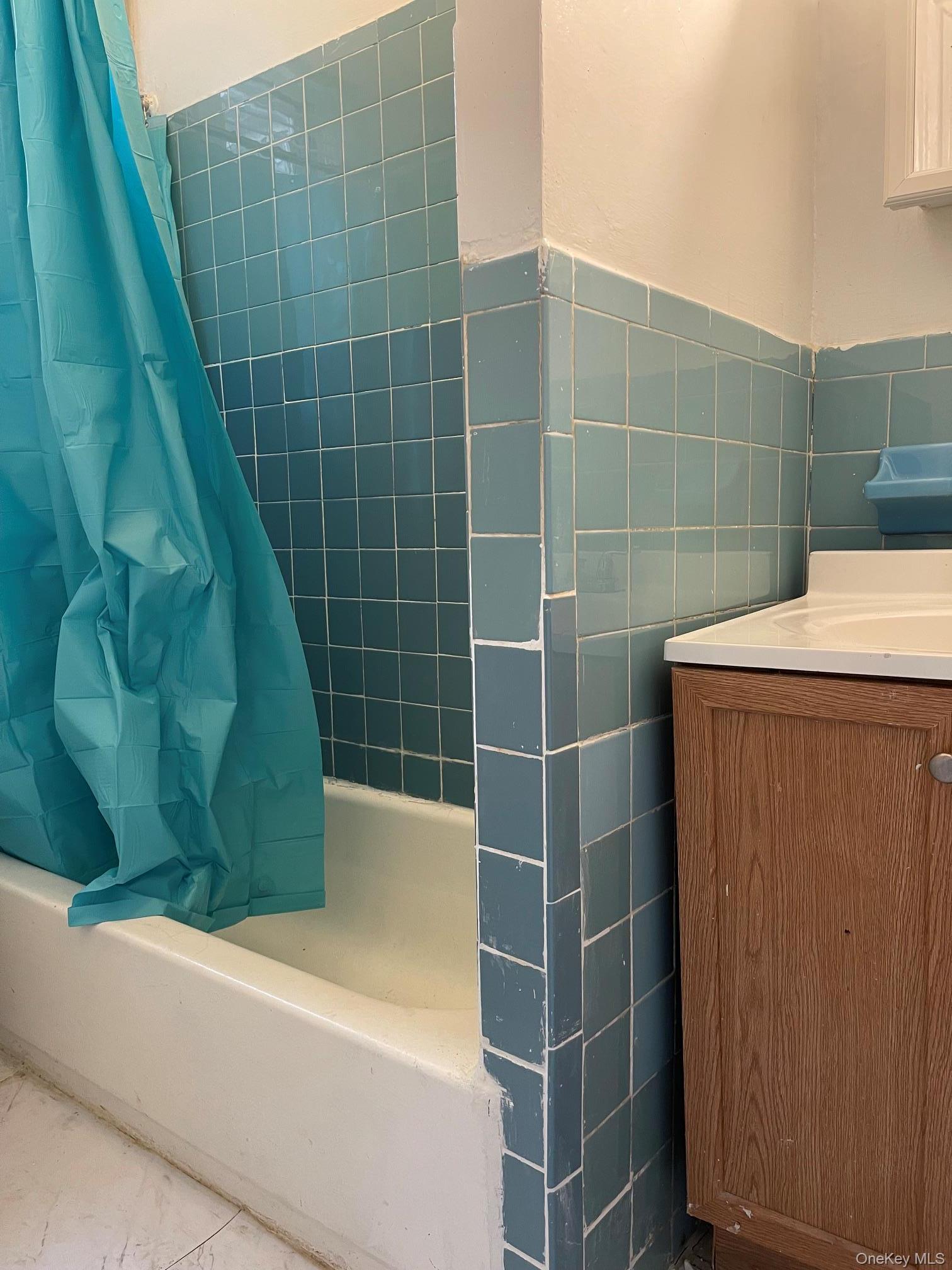 Single Family Clarkson Avenue Brooklyn, NY 11212, MLS-1016752-13