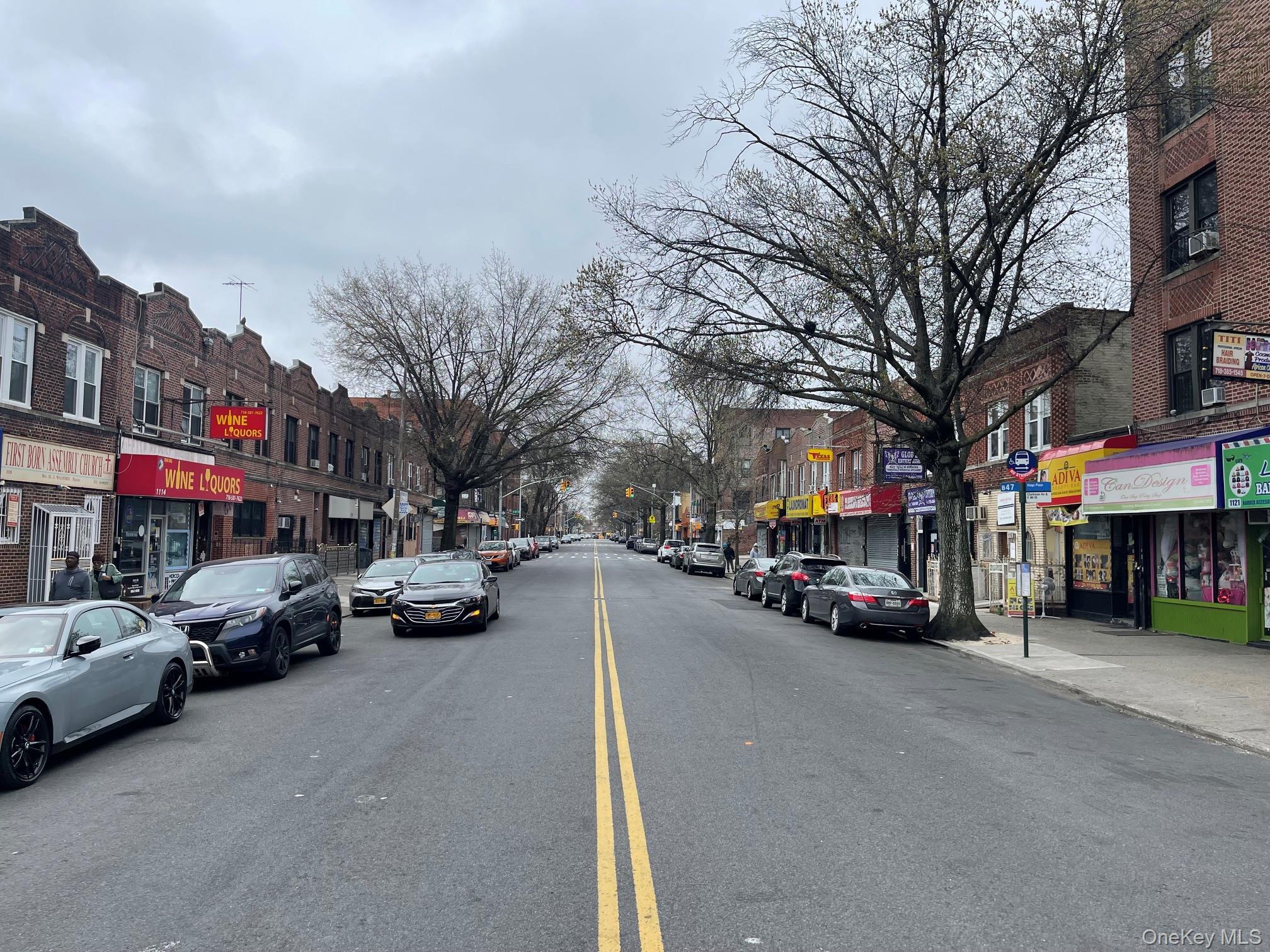 Single Family Clarkson Avenue  Brooklyn, NY 11212, MLS-1016752-18