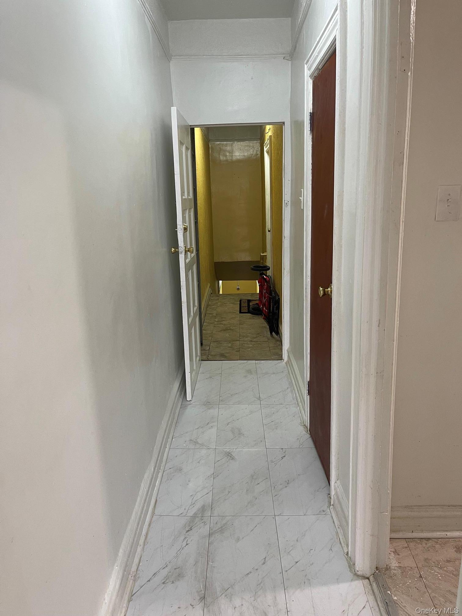Single Family Clarkson Avenue Brooklyn, NY 11212, MLS-1016752-8