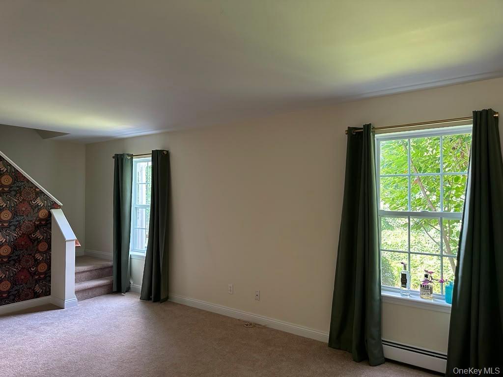 Single Family Brewer Road Orange County, NY 12550, MLS-1016766-16