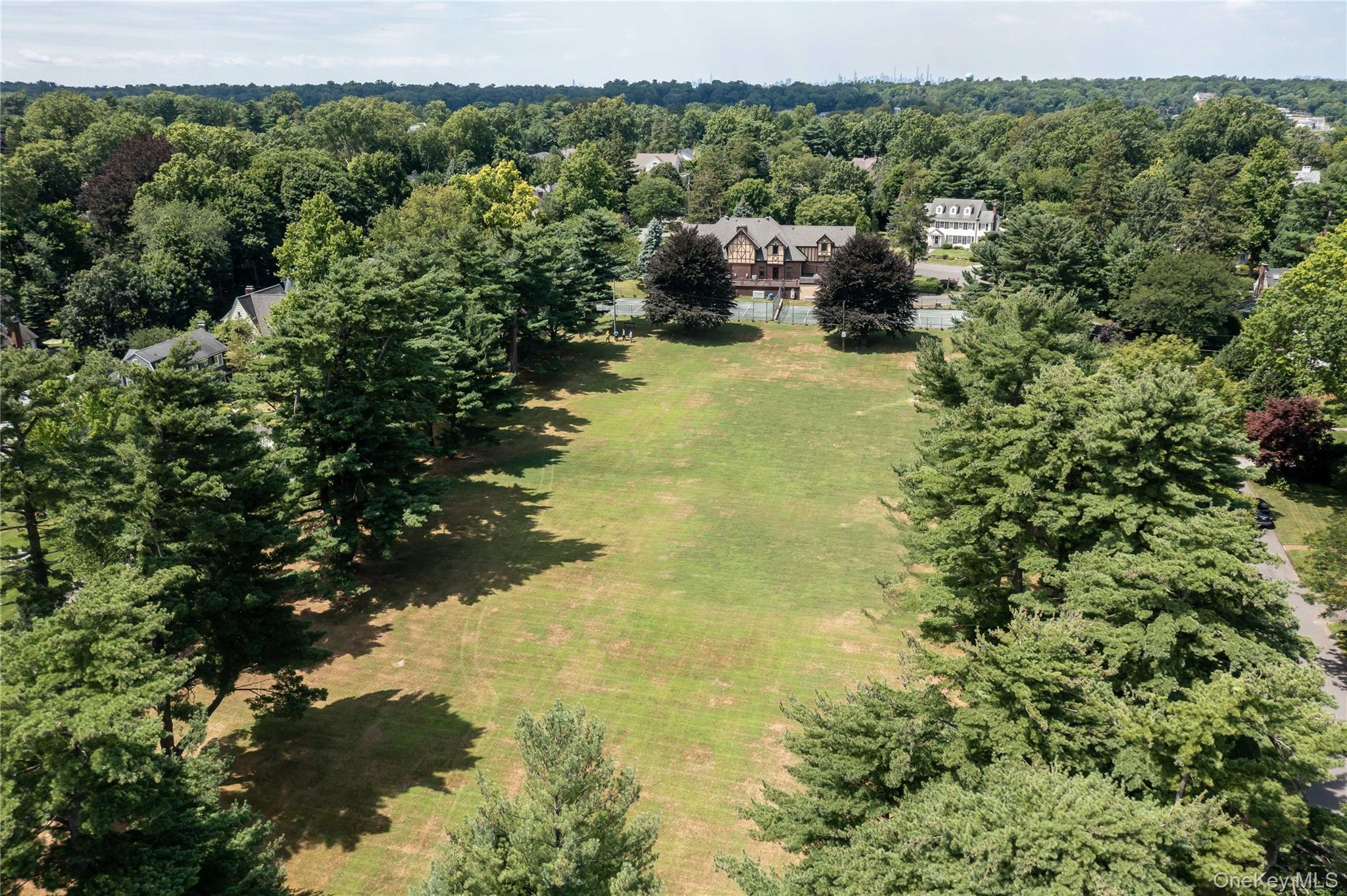 Single Family Brookside Drive  Nassau County, NY 11030, MLS-1016783-41