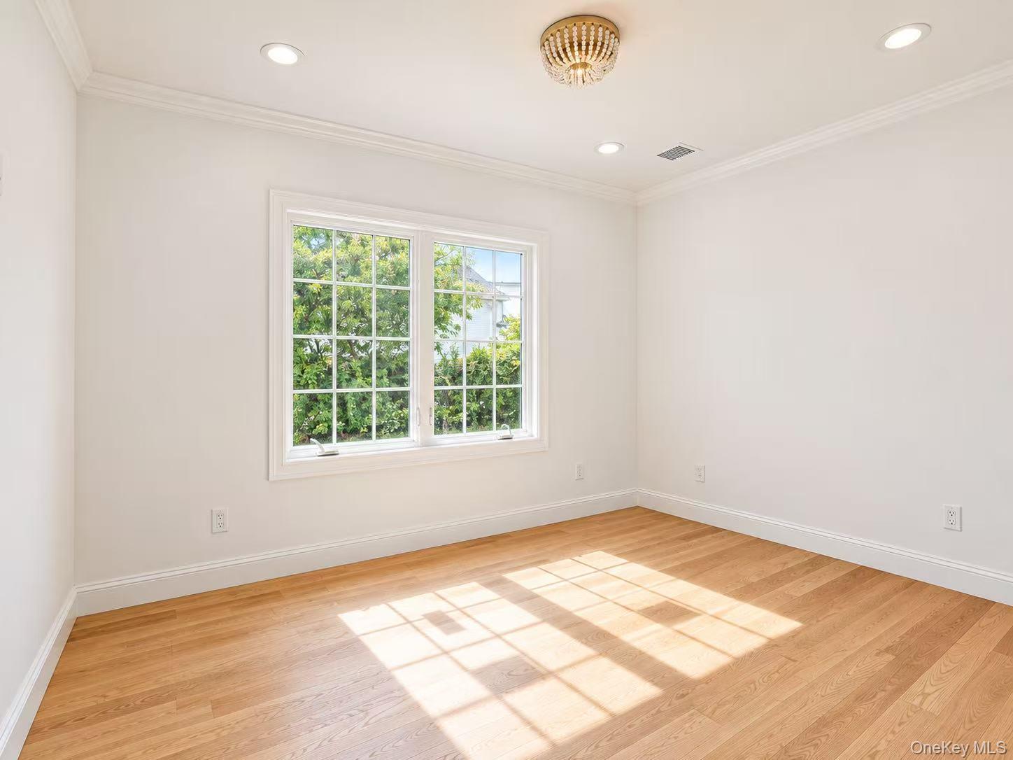 Single Family Columbia Drive  Nassau County, NY 11753, MLS-1016784-14