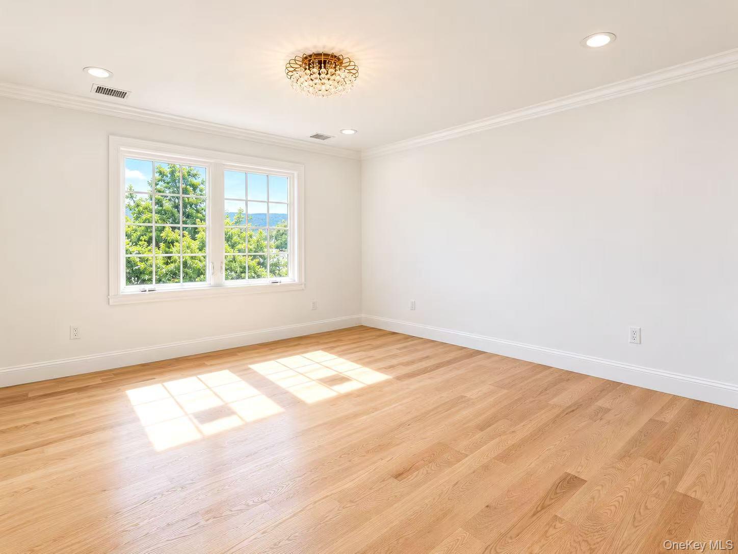 Single Family Columbia Drive  Nassau County, NY 11753, MLS-1016784-16
