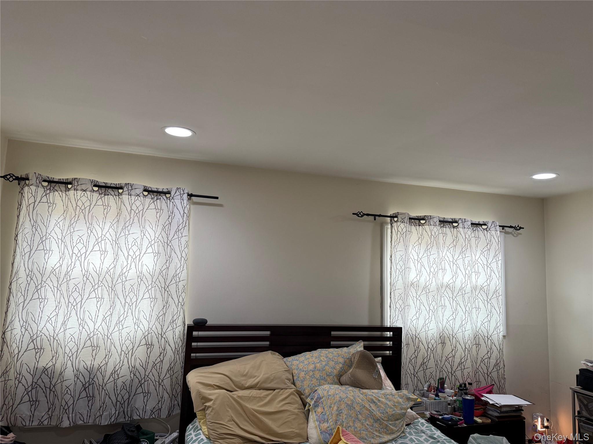 Single Family Canarsie Brooklyn, NY 11236, MLS-1016845-17