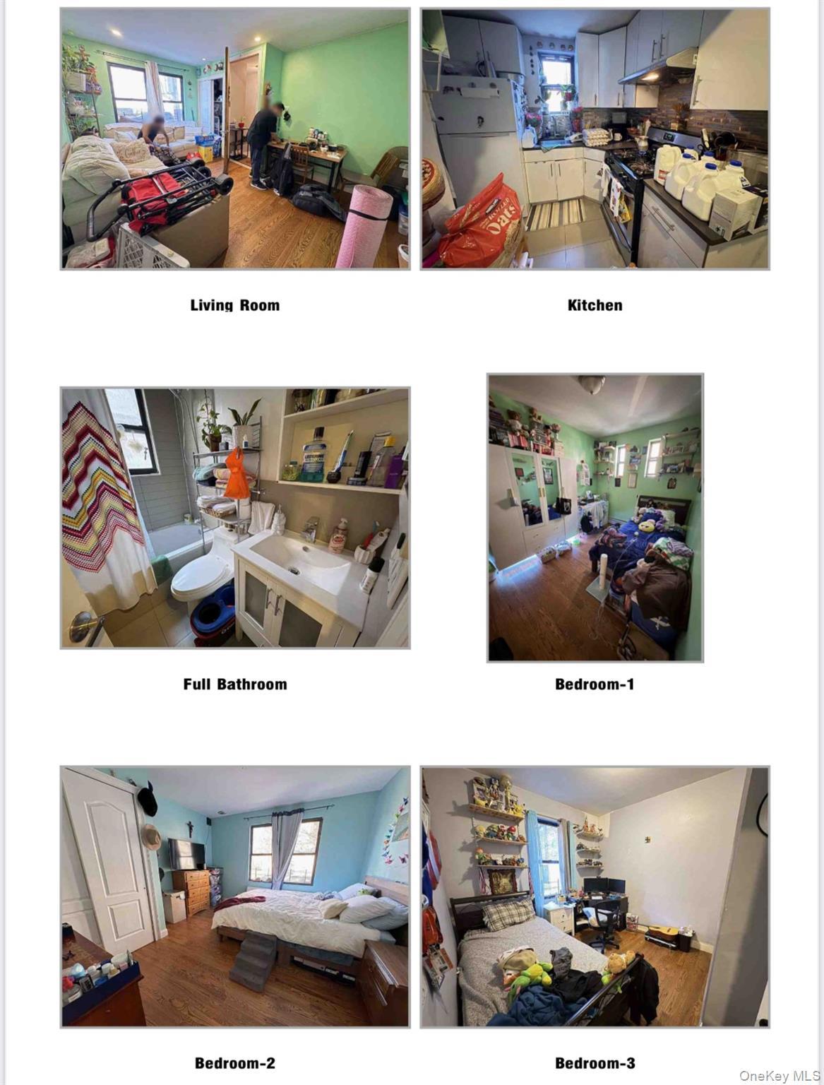 Single Family Otis Avenue Queens, NY 11368, MLS-1016871-4