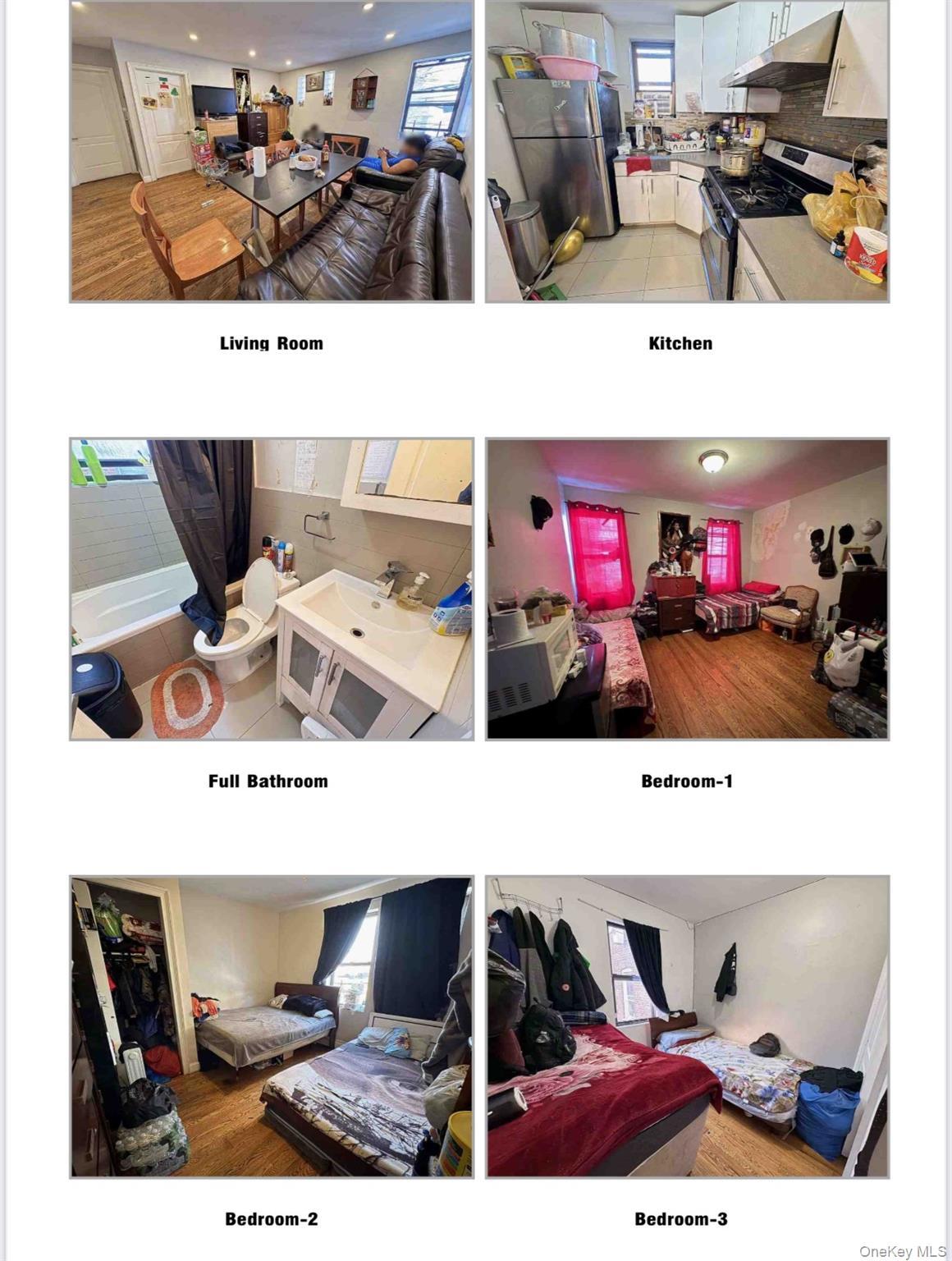 Single Family Otis Avenue Queens, NY 11368, MLS-1016871-5