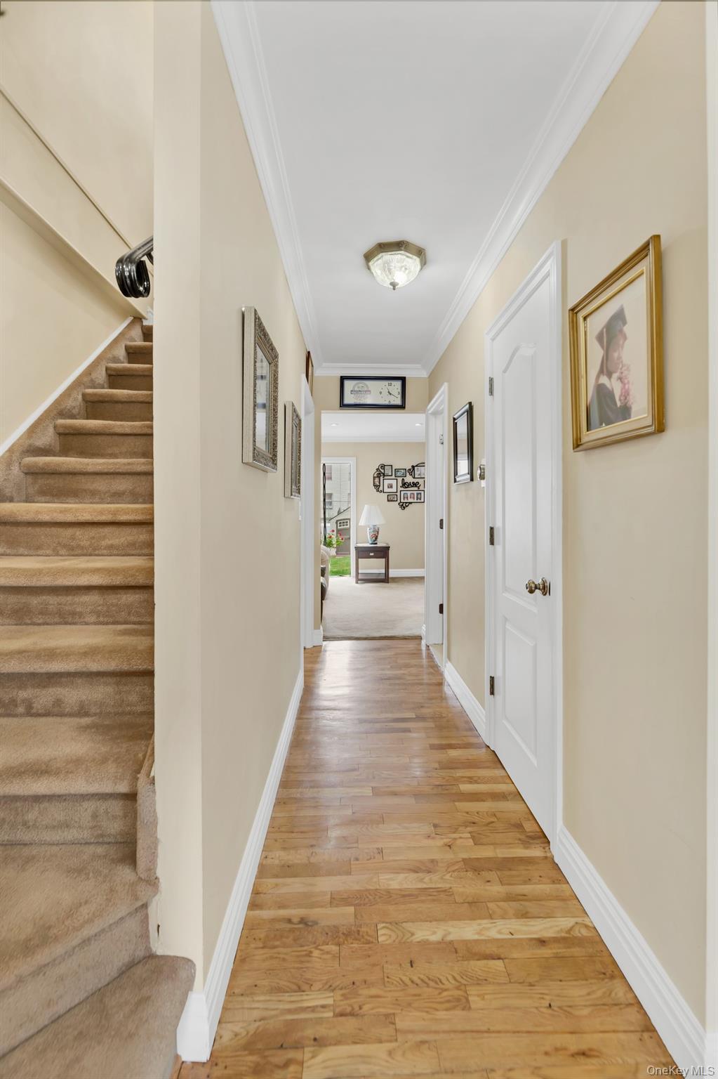 Single Family Clinton Avenue Bronx, NY 10457, MLS-1016881-7