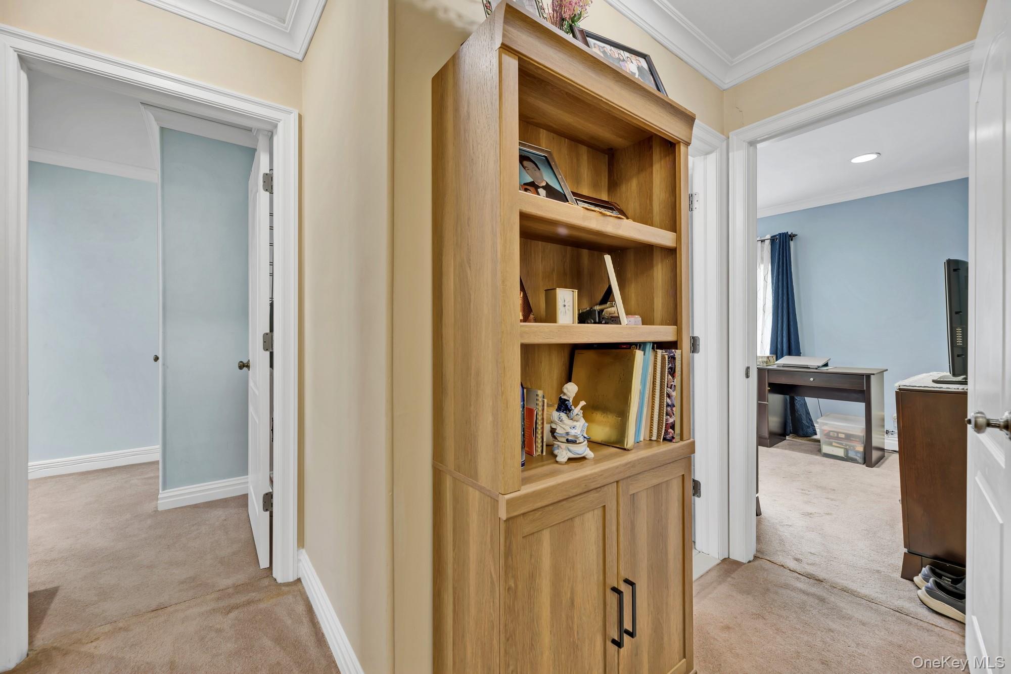Single Family Clinton Avenue Bronx, NY 10457, MLS-1016881-9