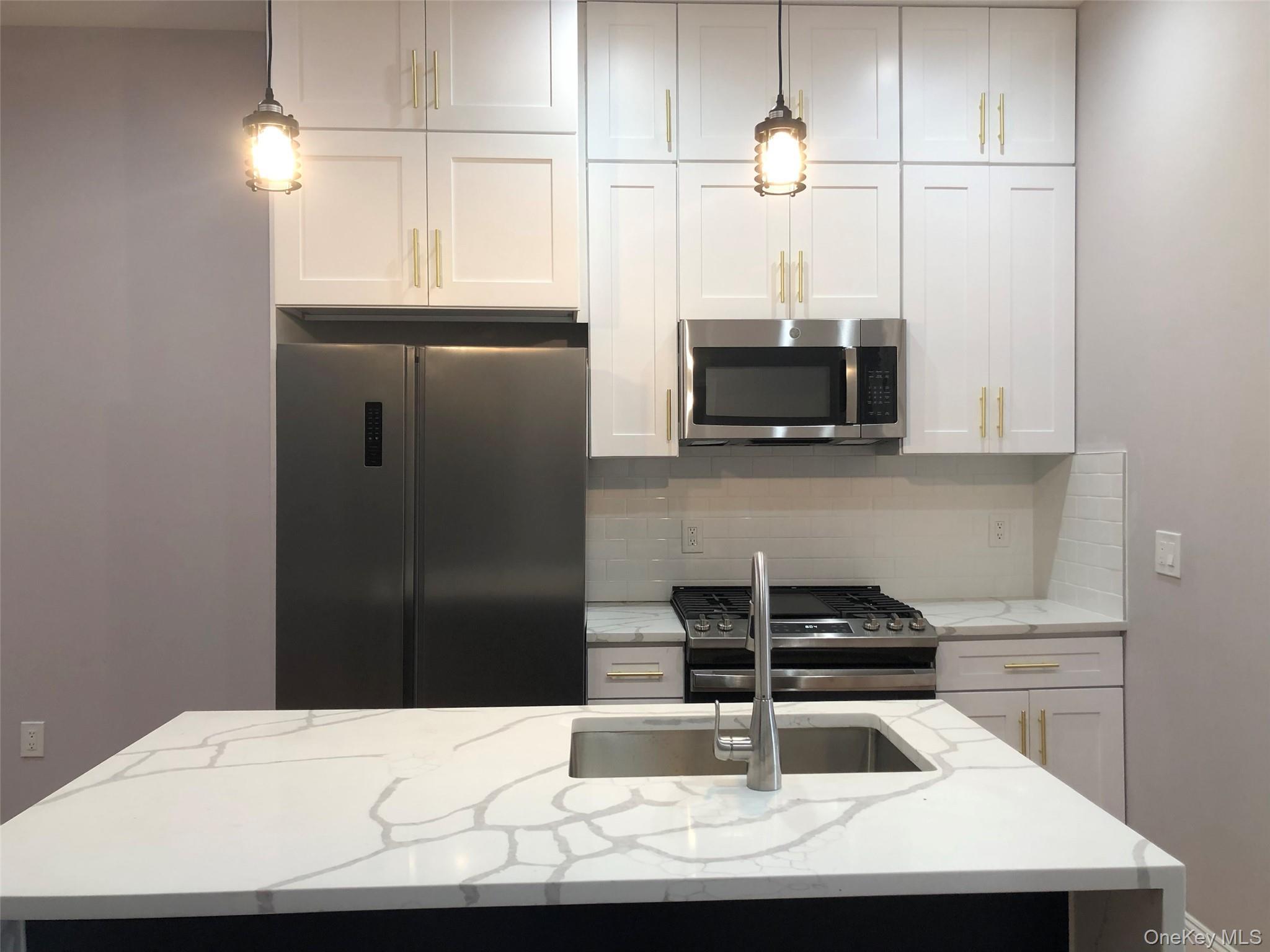 Single Family Autumn Avenue  Brooklyn, NY 11208, MLS-1016902-3
