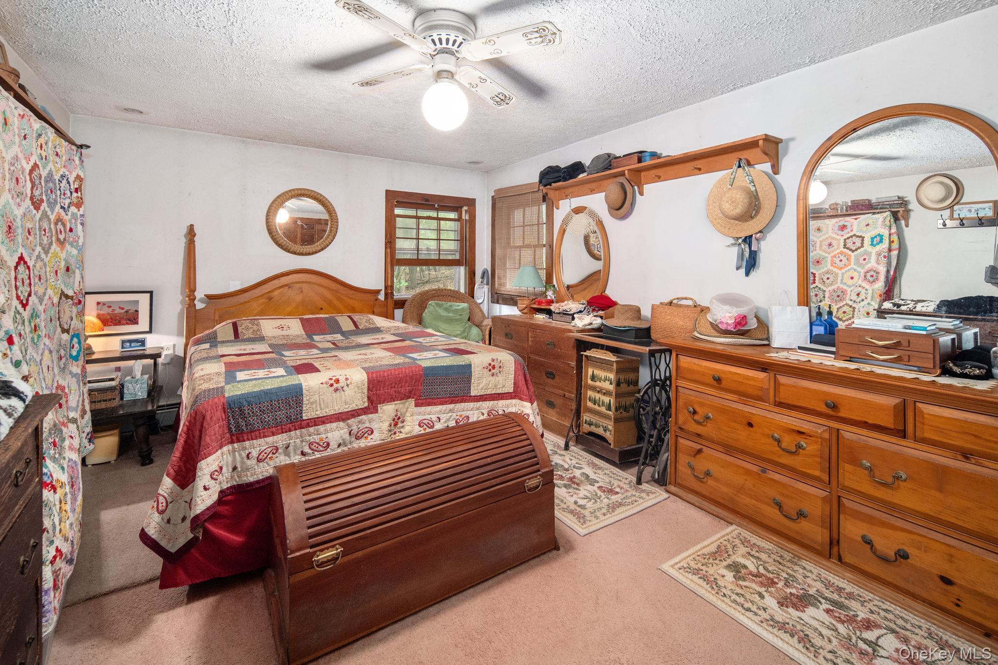 Single Family Treadlemire Rd, Berne Ny Out Of Area, NY 12023, MLS-1016972-22