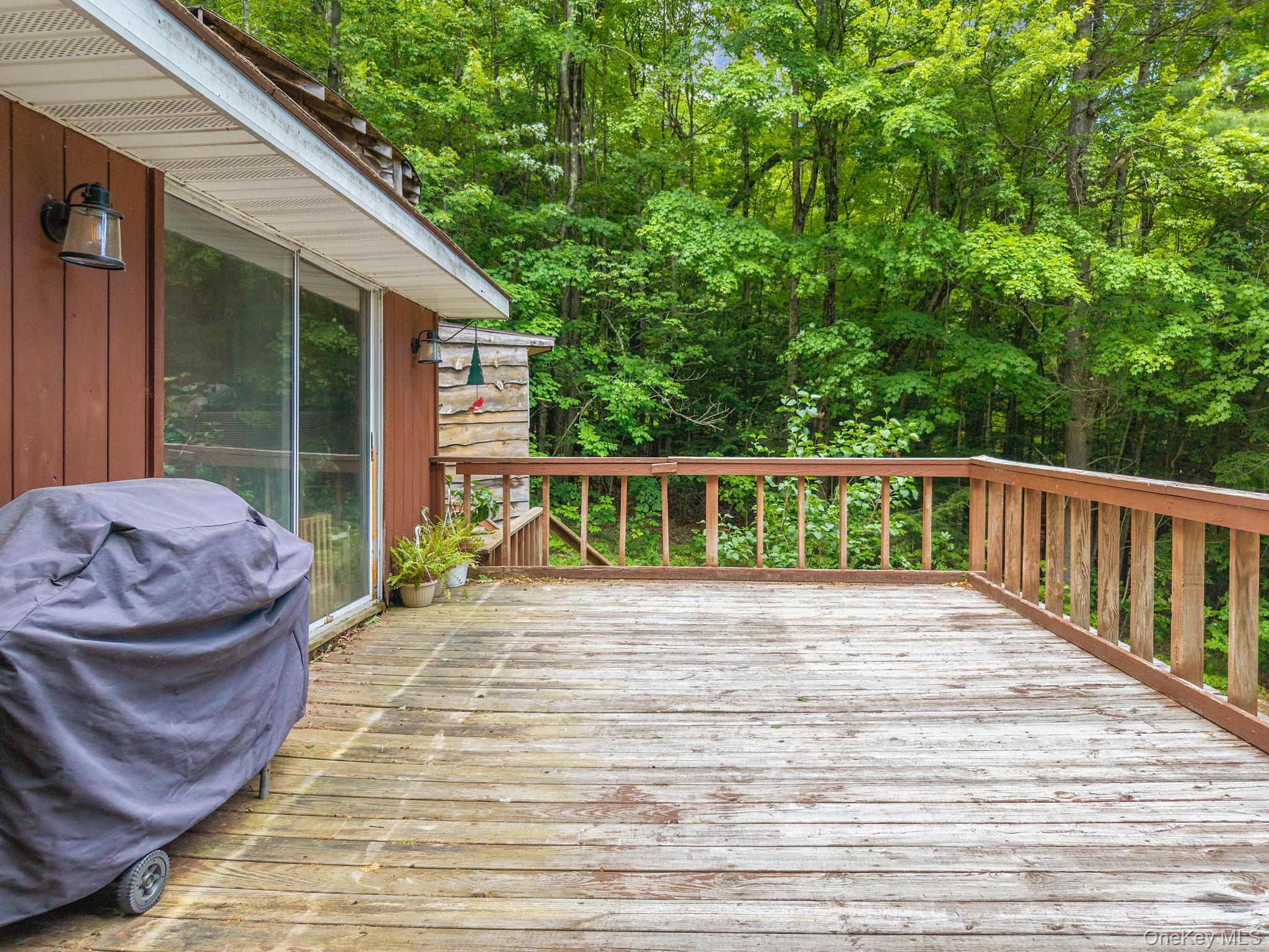 Single Family Treadlemire Rd, Berne Ny Out Of Area, NY 12023, MLS-1016972-31