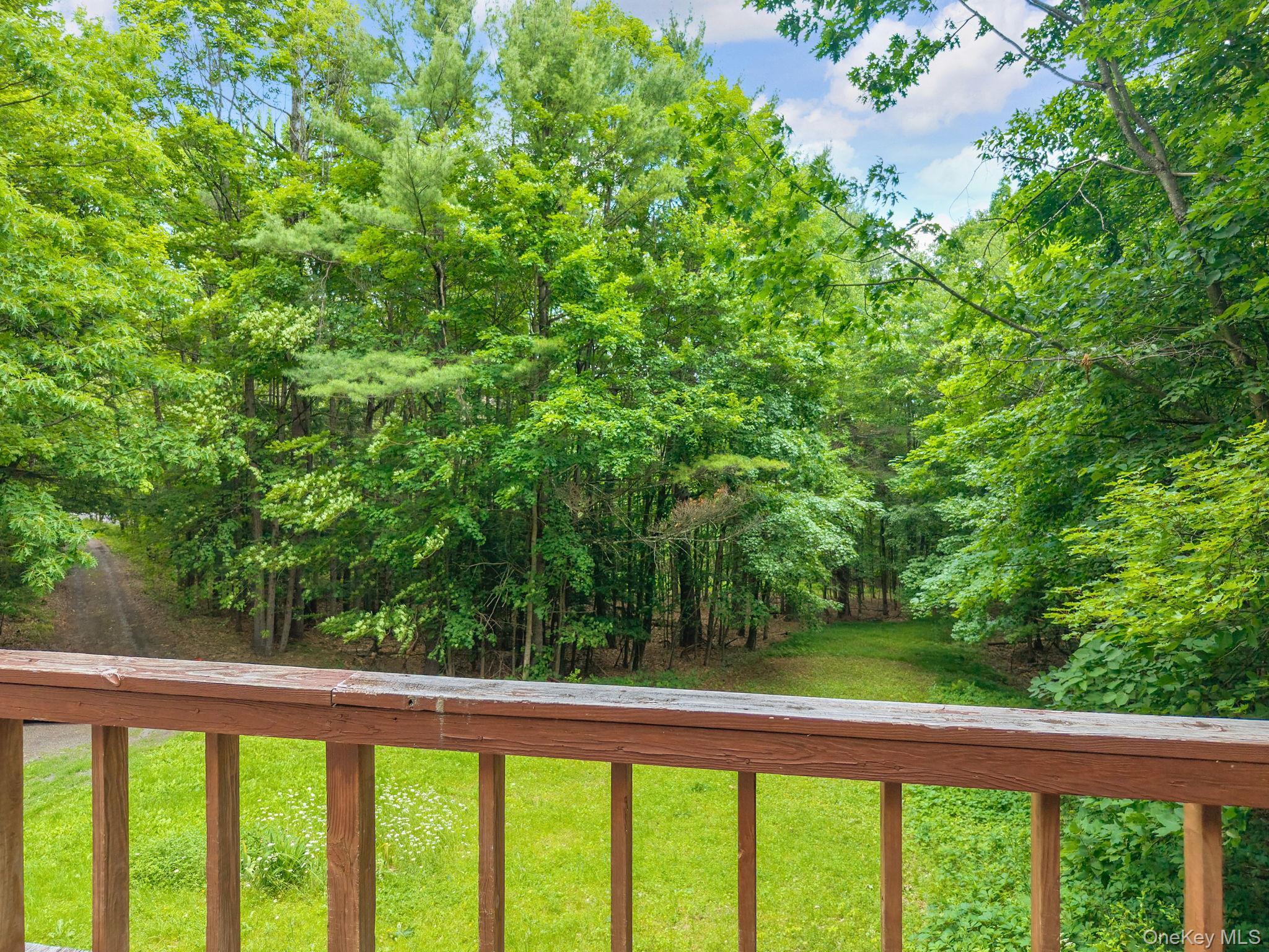 Single Family Treadlemire Rd, Berne Ny Out Of Area, NY 12023, MLS-1016972-32