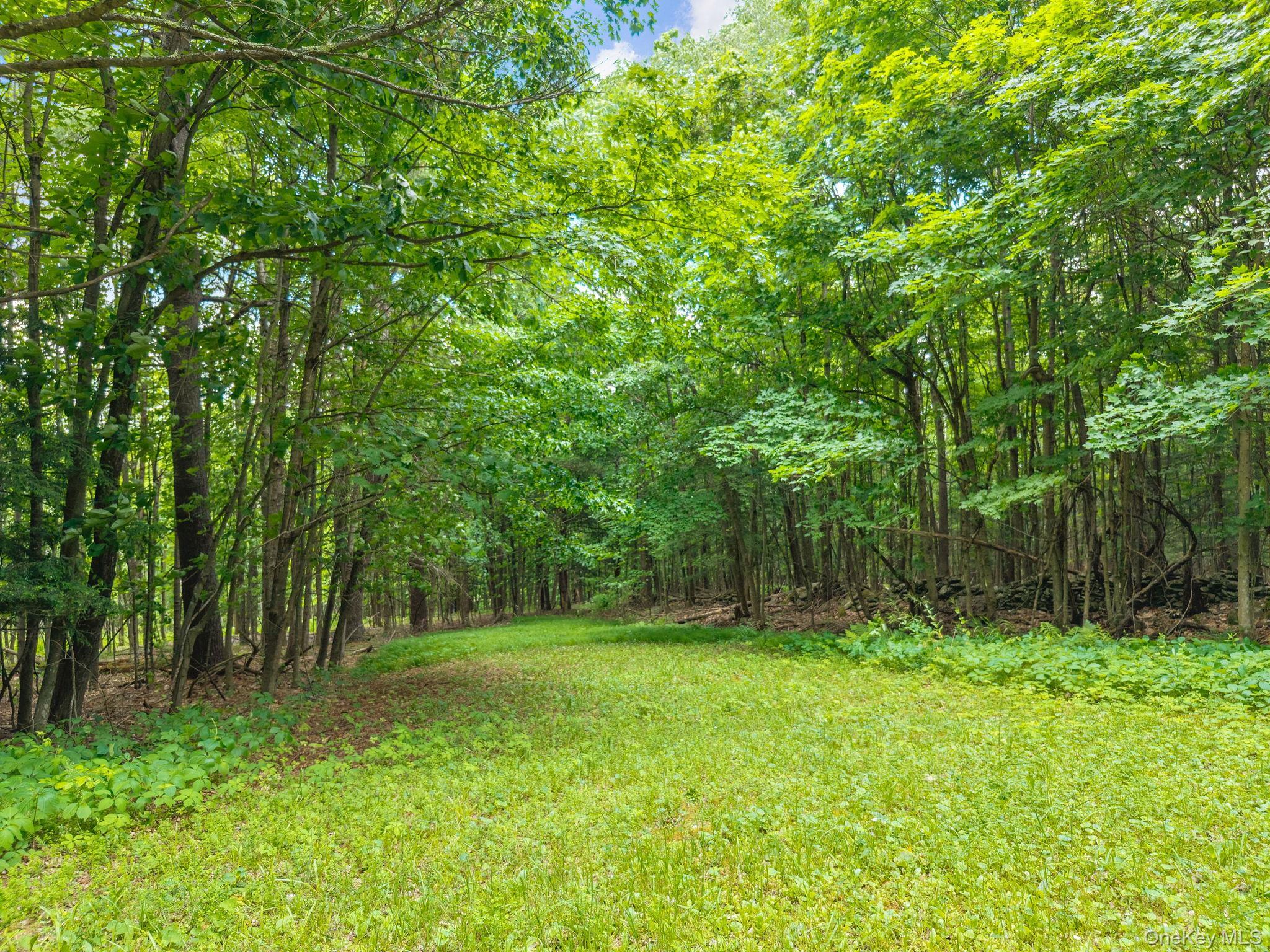 Single Family Treadlemire Rd, Berne Ny Out Of Area, NY 12023, MLS-1016972-36