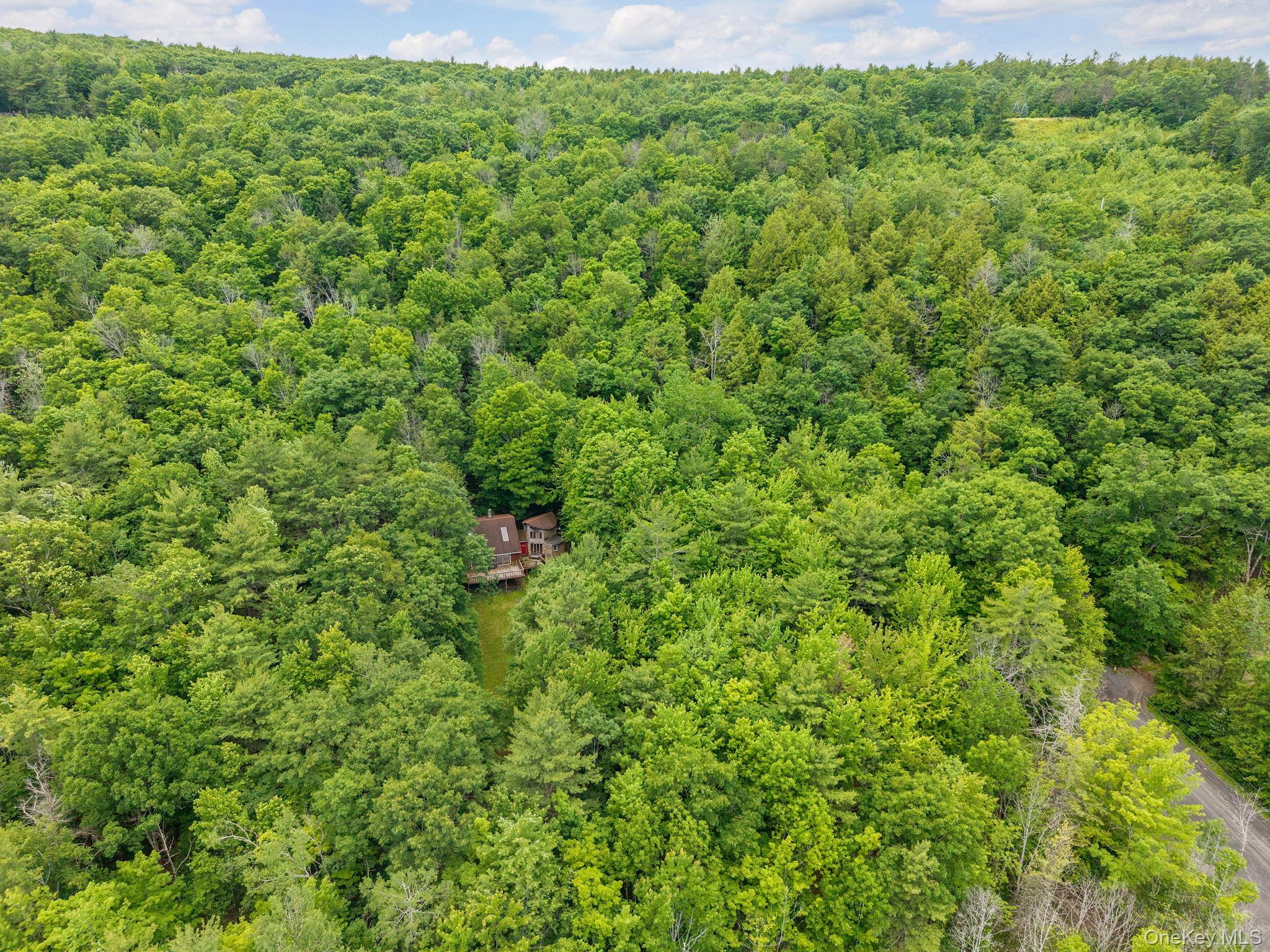 Single Family Treadlemire Rd, Berne Ny Out Of Area, NY 12023, MLS-1016972-37