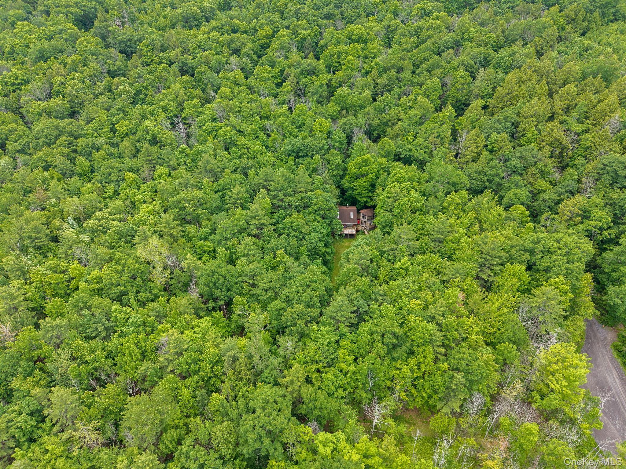 Single Family Treadlemire Rd, Berne Ny Out Of Area, NY 12023, MLS-1016972-38