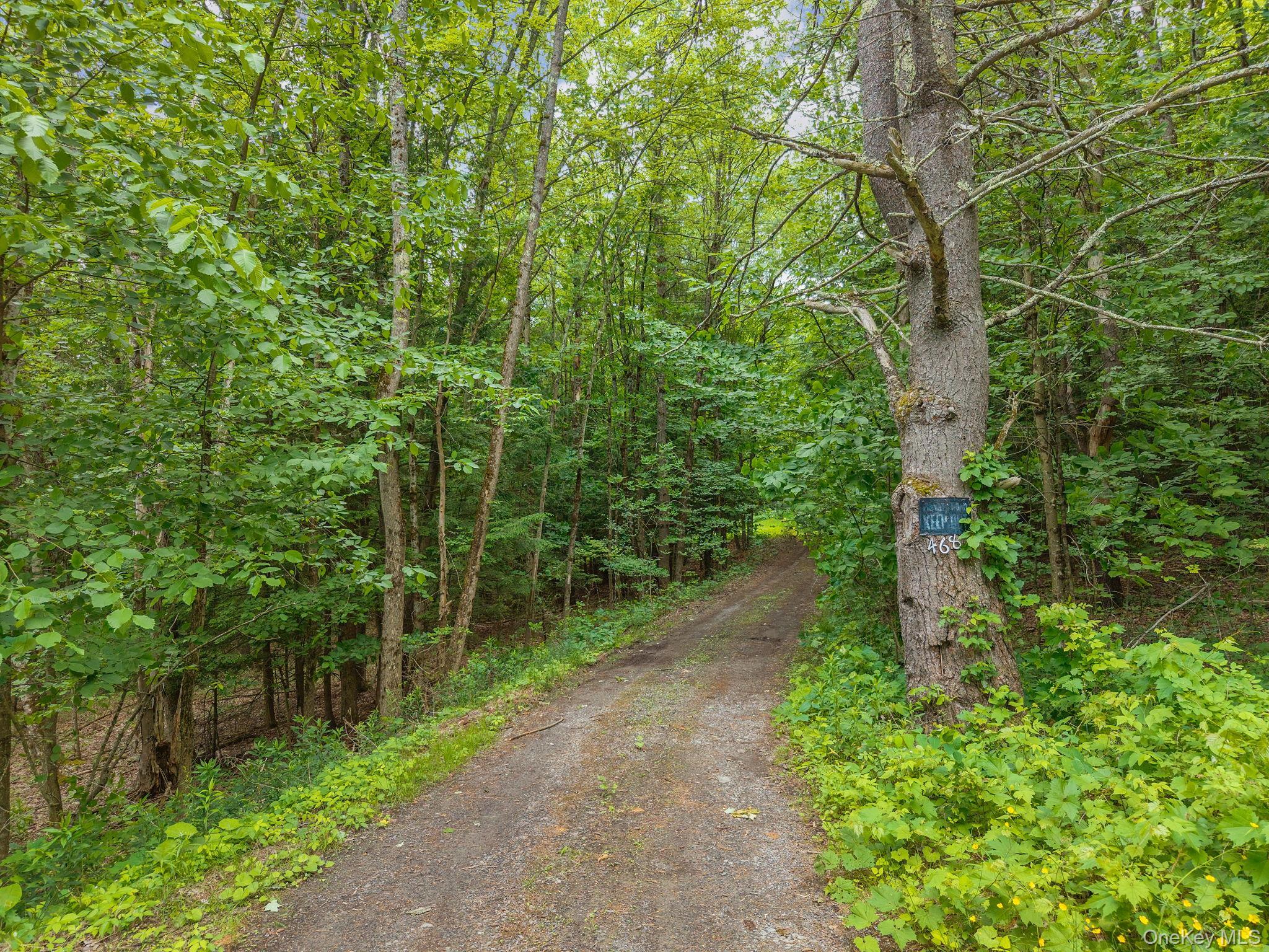Single Family Treadlemire Rd, Berne Ny Out Of Area, NY 12023, MLS-1016972-39