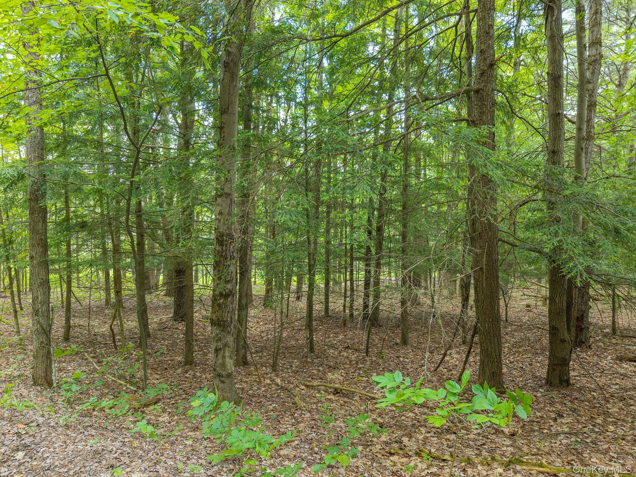 Single Family Treadlemire Rd, Berne Ny Out Of Area, NY 12023, MLS-1016972-40