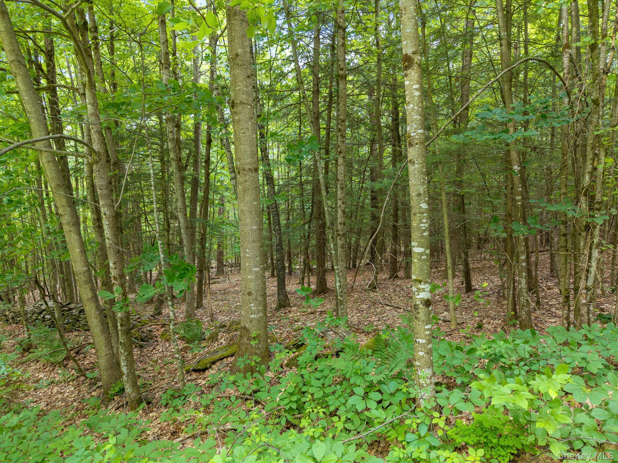 Single Family Treadlemire Rd, Berne Ny Out Of Area, NY 12023, MLS-1016972-41