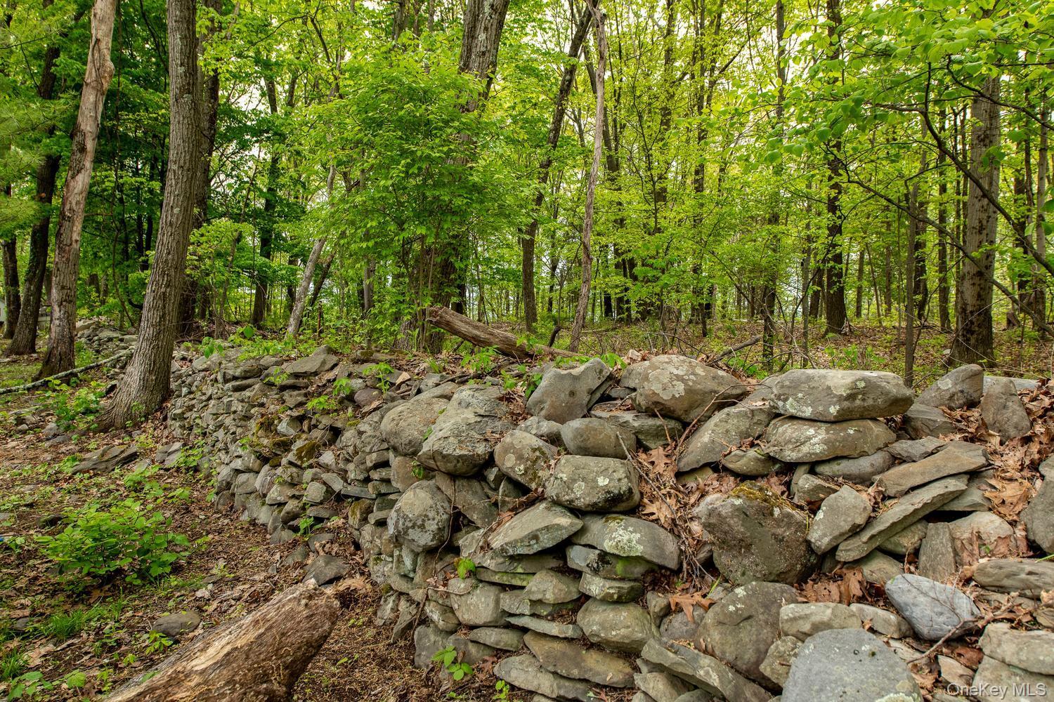 Single Family Paffendorf Drive Orange County, NY 12550, MLS-1016983-32