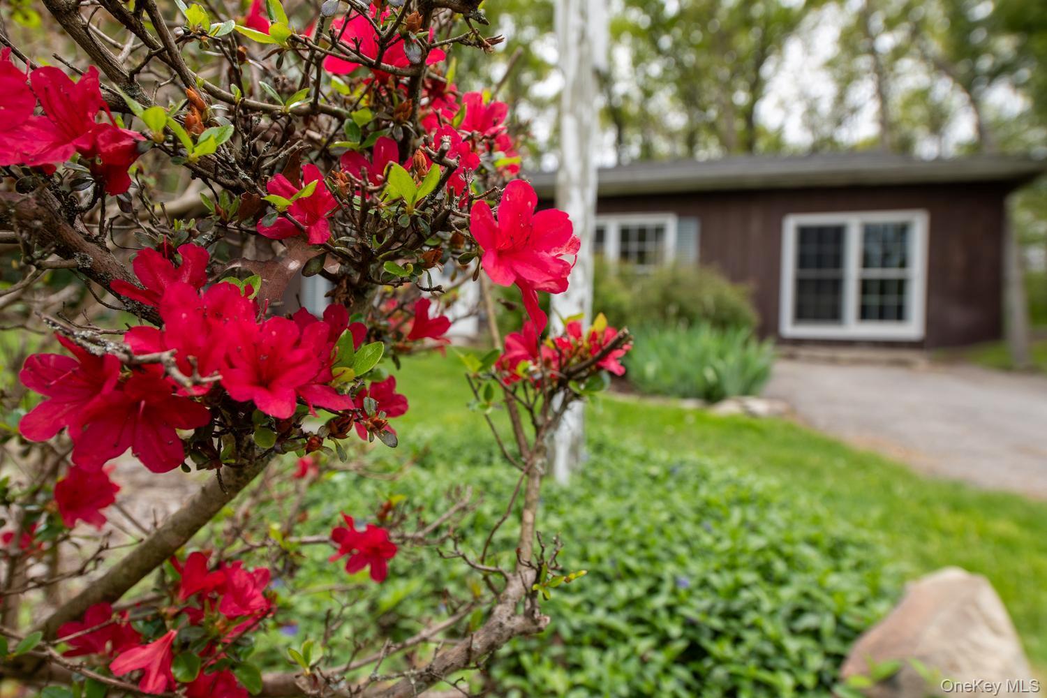 Single Family Paffendorf Drive Orange County, NY 12550, MLS-1016983-34
