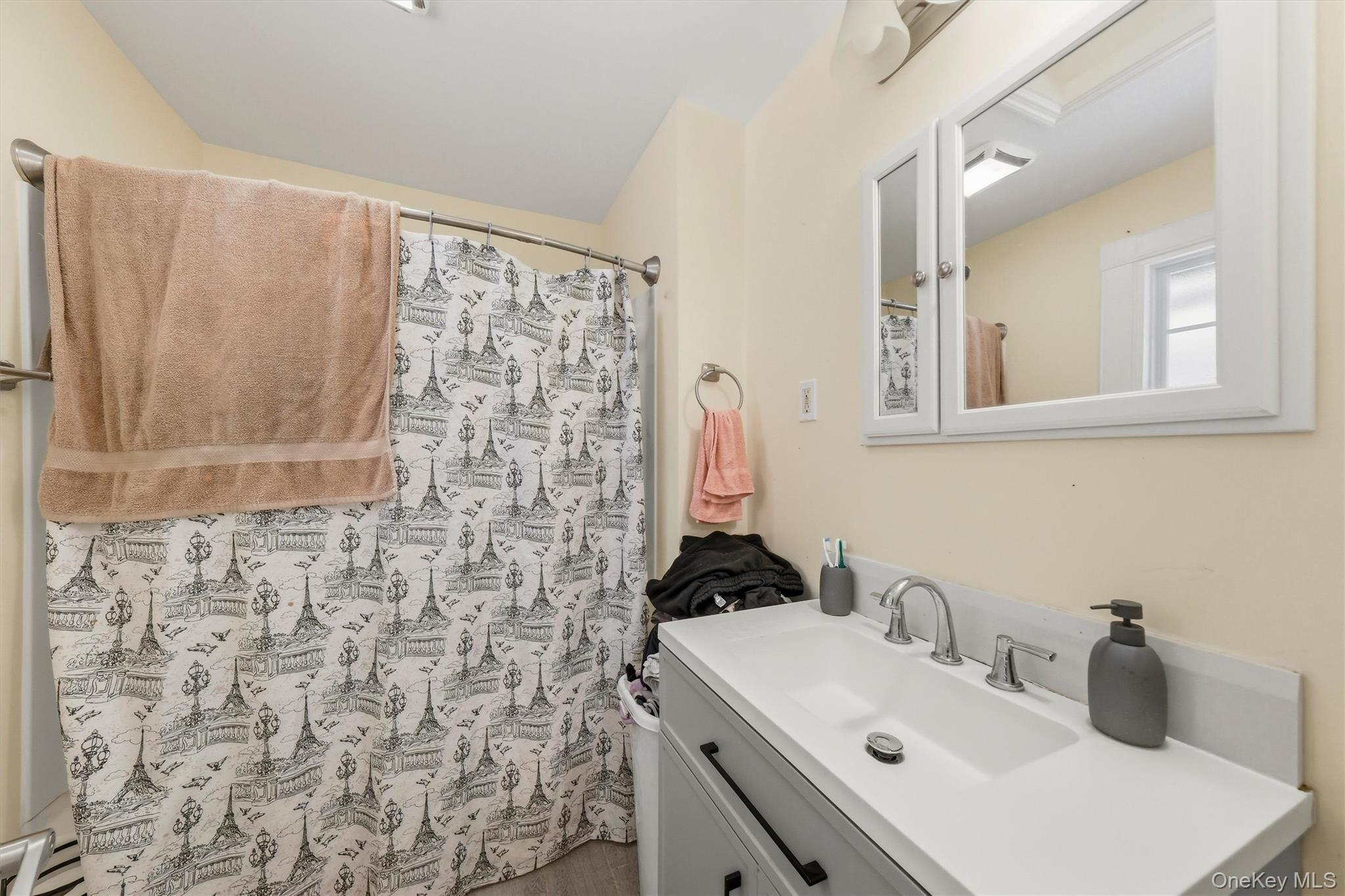 Single Family Carroll Street Dutchess County, NY 12601, MLS-1017057-23