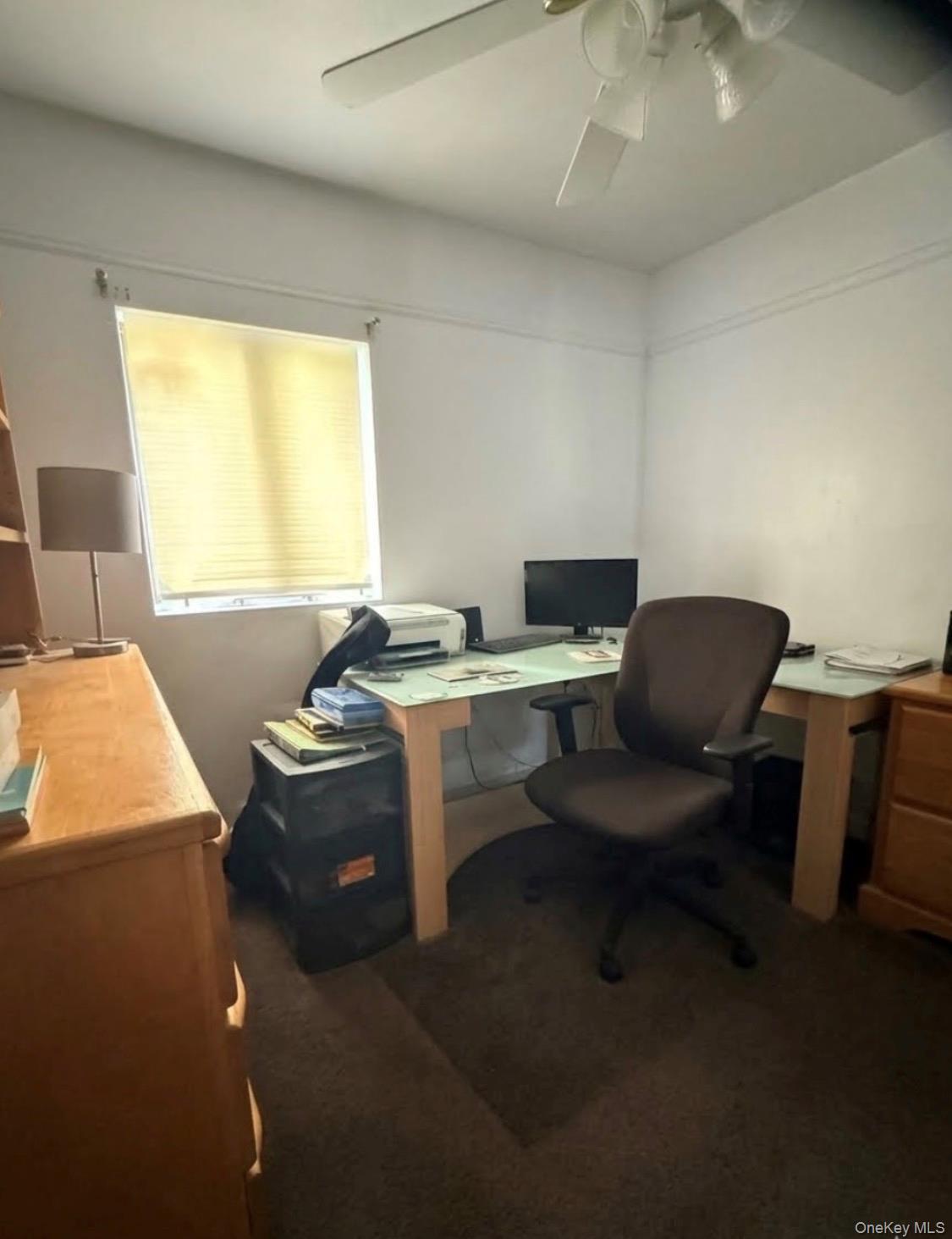 Single Family Pitkin Avenue Queens, NY 11417, MLS-1017072-6