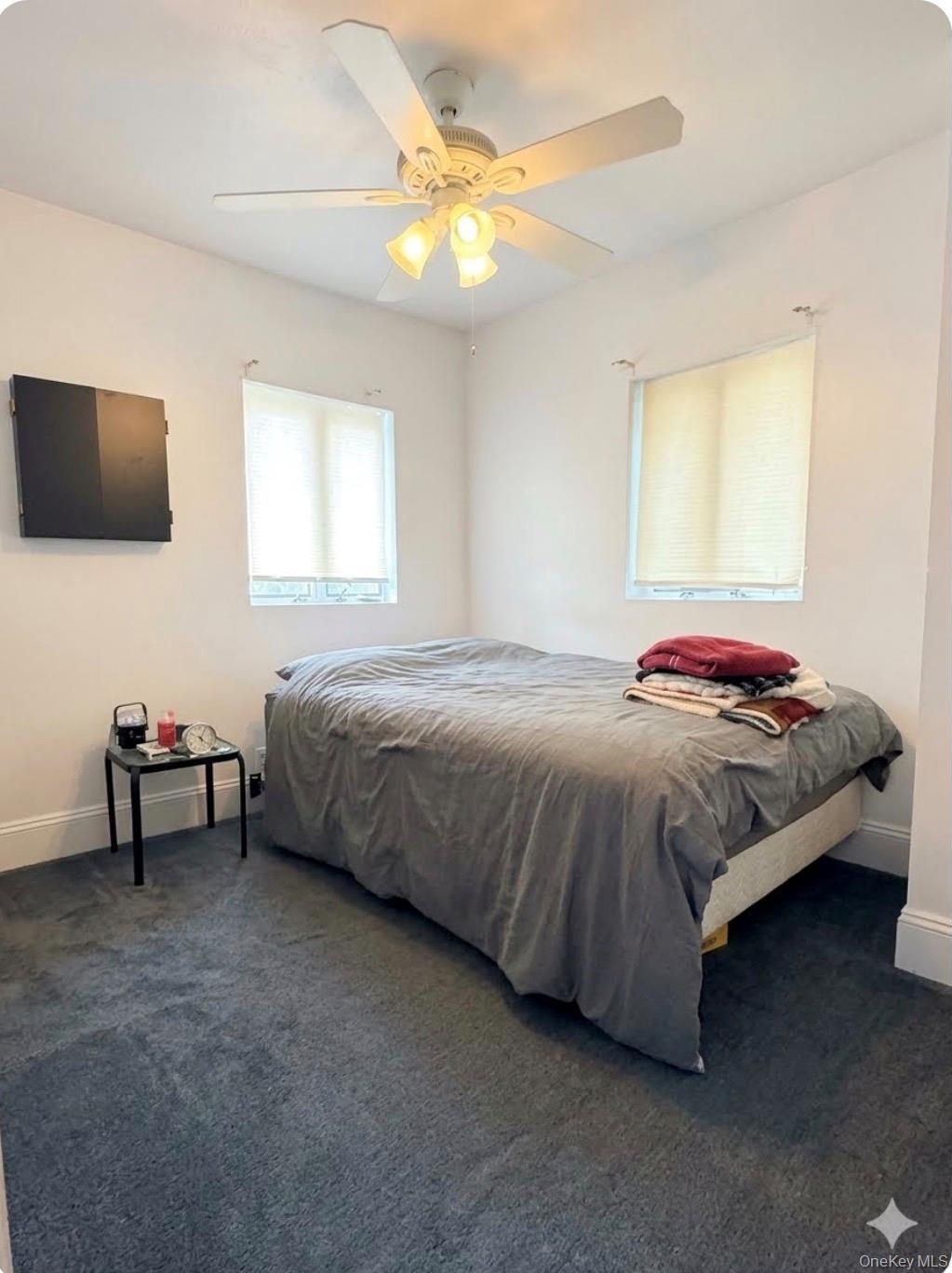 Single Family Pitkin Avenue Queens, NY 11417, MLS-1017072-8
