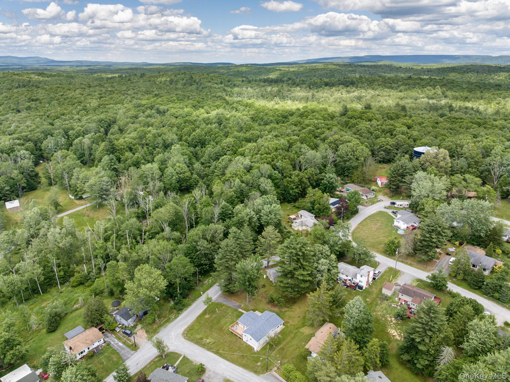 Single Family Cannon Boulevard Sullivan County, NY 12763, MLS-1017126-30