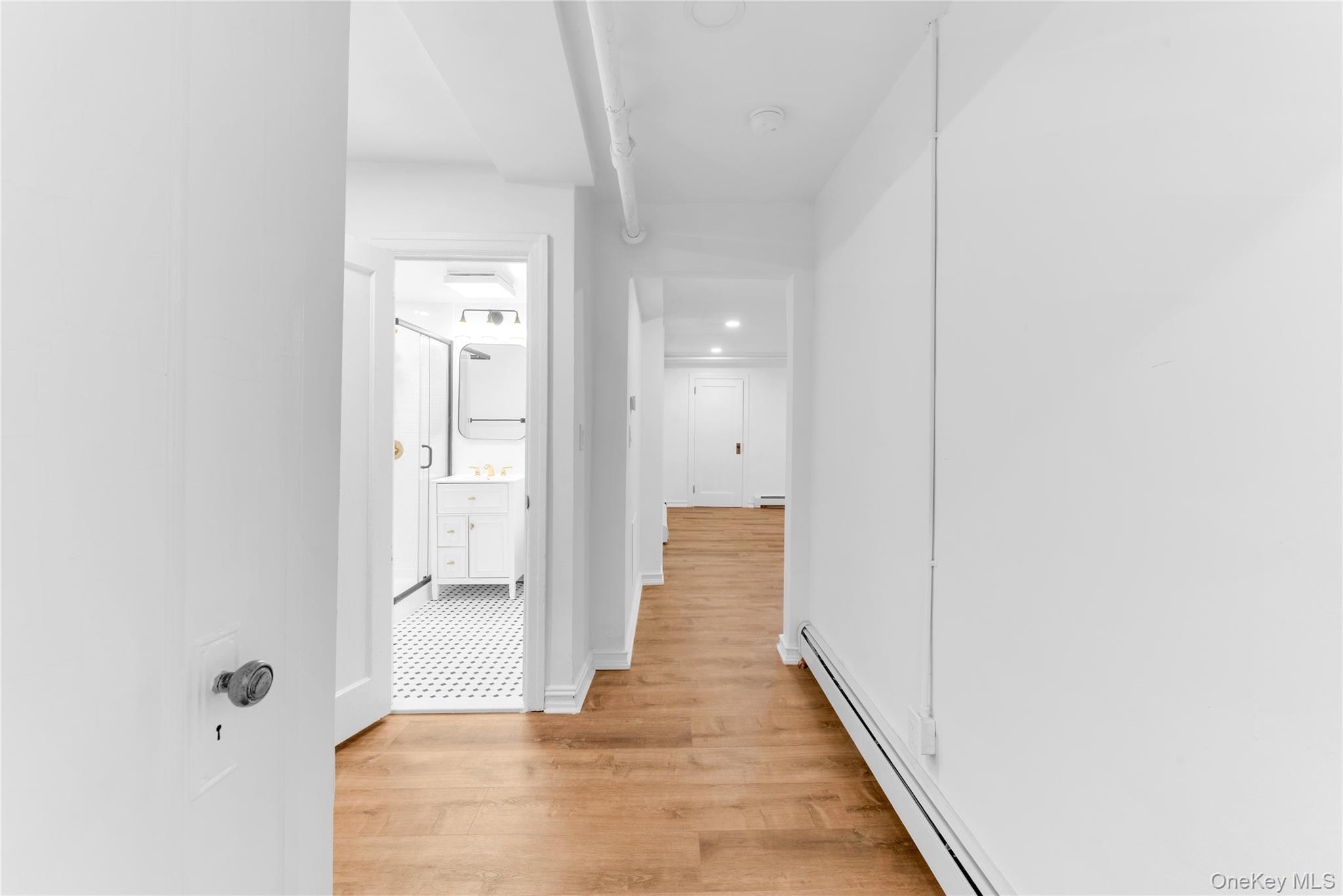 Single Family Kings Highway Brooklyn, NY 11203, MLS-1017175-27