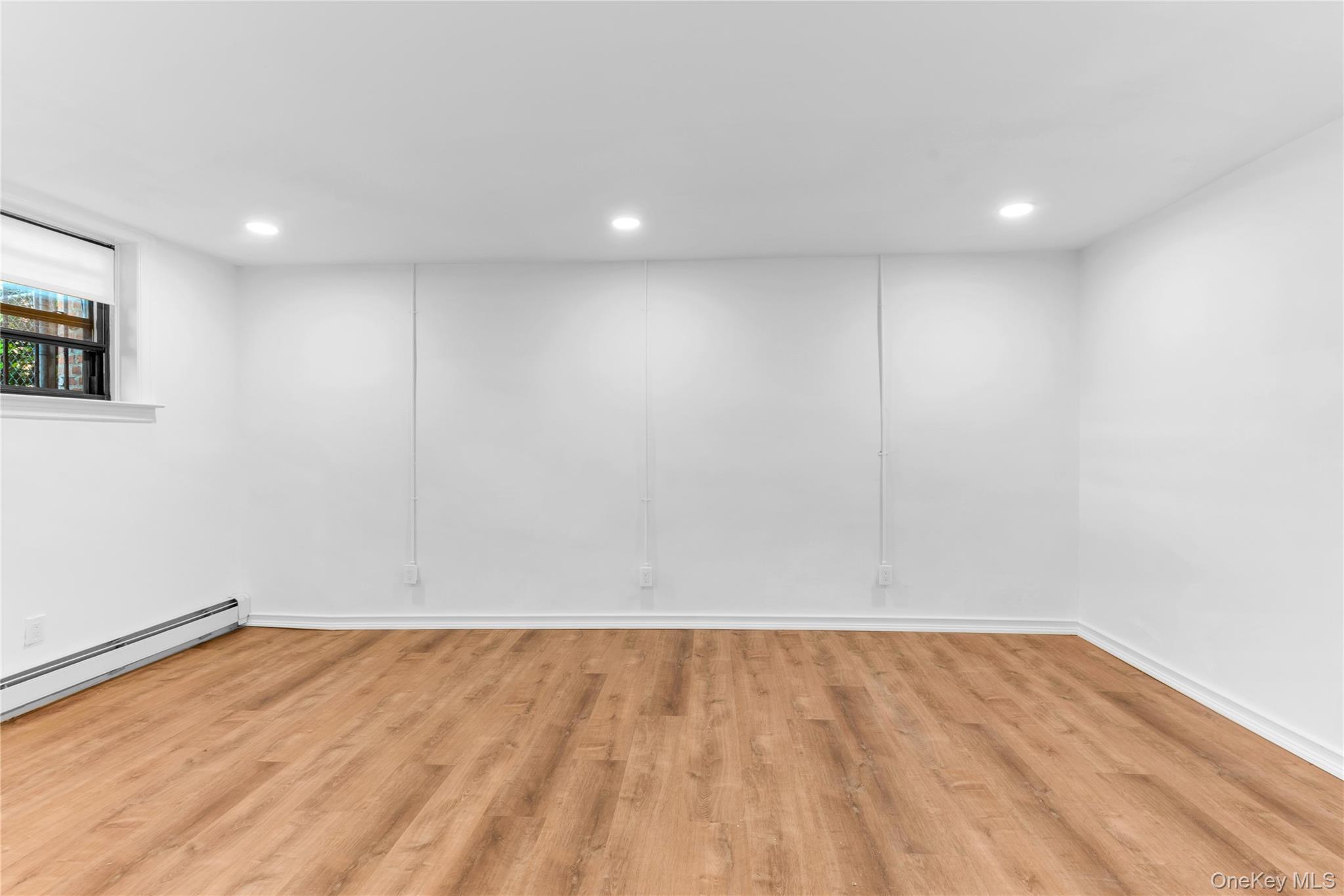 Single Family Kings Highway Brooklyn, NY 11203, MLS-1017175-29