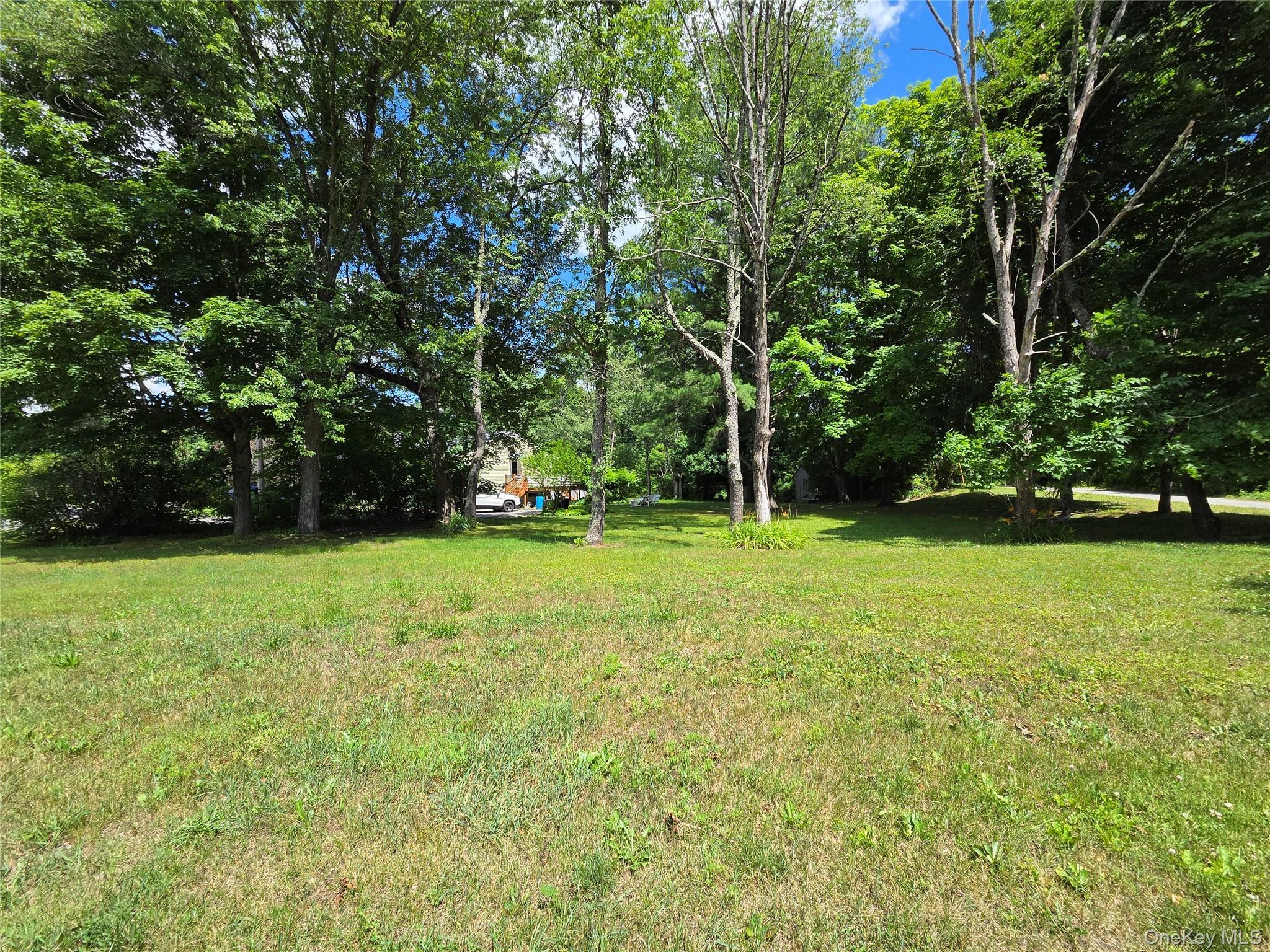 Single Family Pinegrove Drive  Sullivan County, NY 12790, MLS-1017189-44