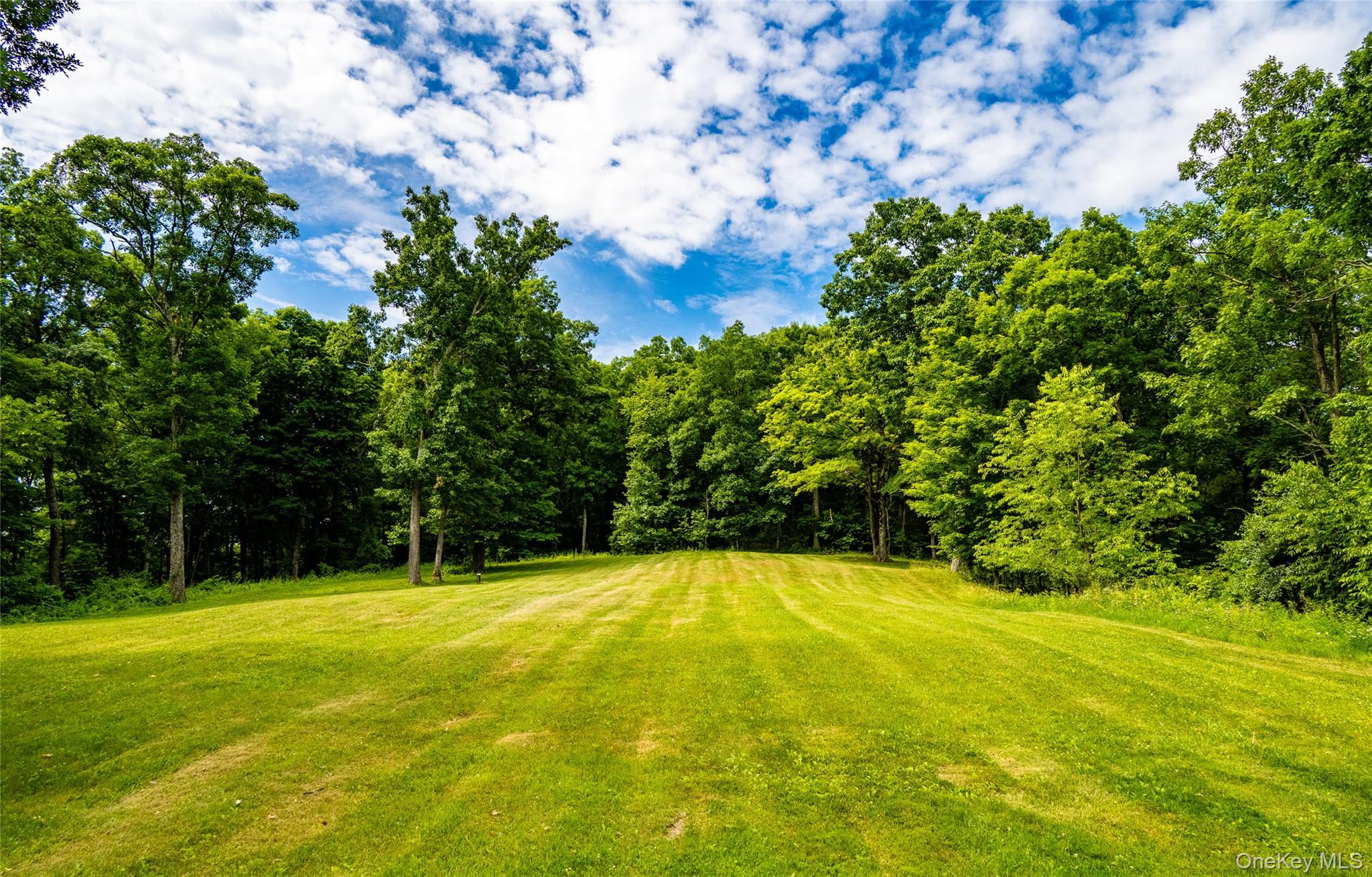 Single Family Sharon Station Road  Dutchess County, NY 12546, MLS-1017229-4
