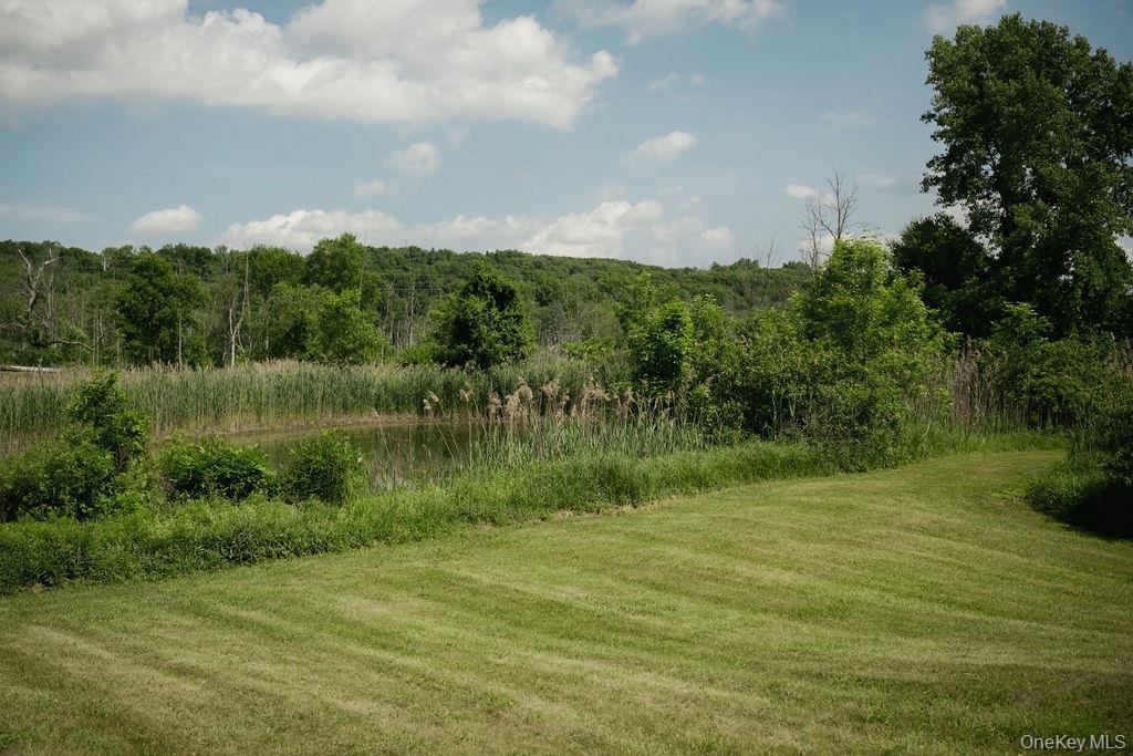 Single Family Centre Road Dutchess County, NY 13323, MLS-1017296-18