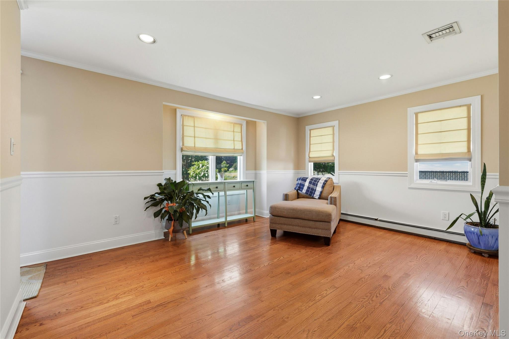 Single Family Jackson Avenue  Nassau County, NY 11010, MLS-1017348-10