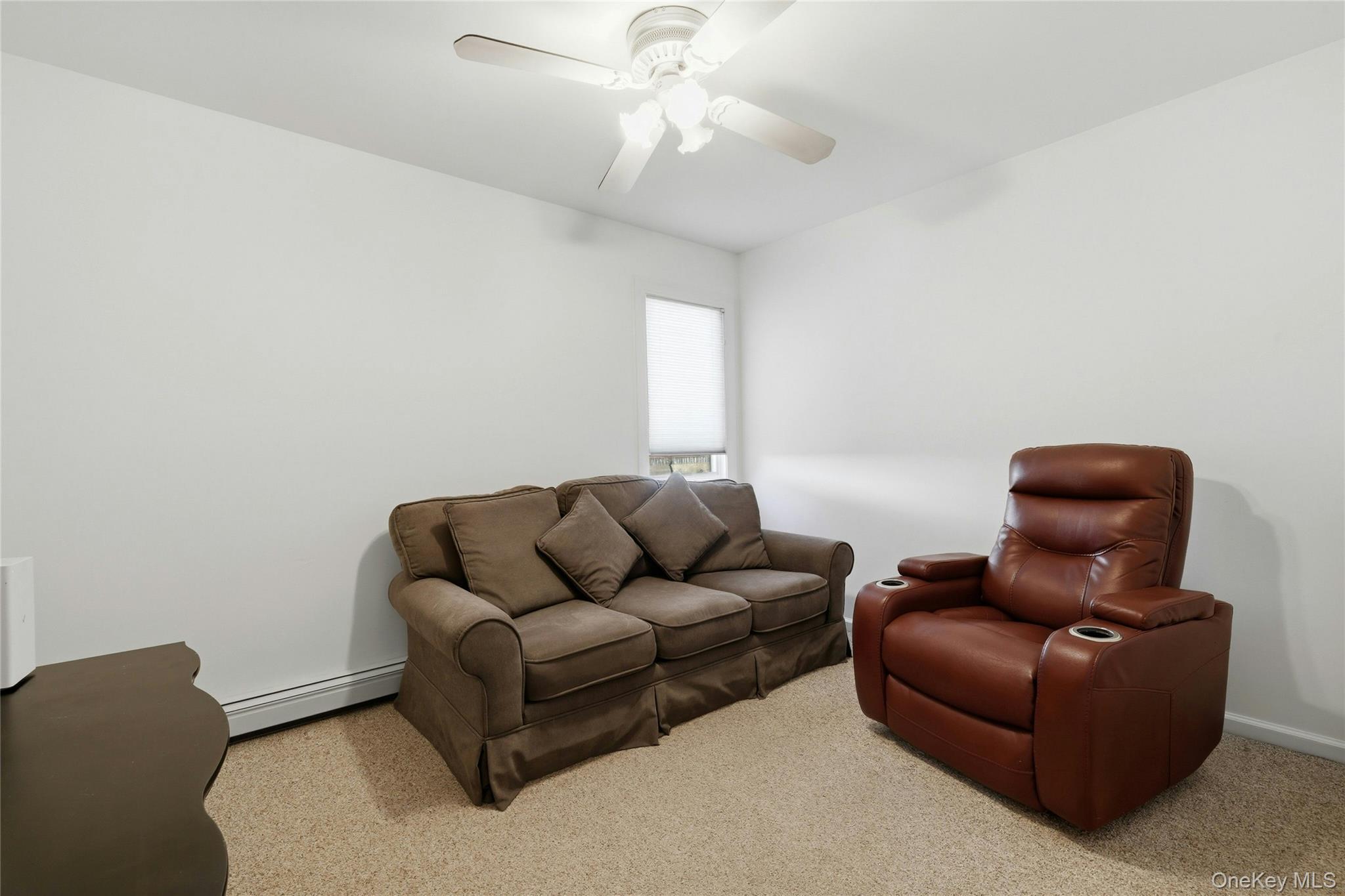 Single Family Jackson Avenue  Nassau County, NY 11010, MLS-1017348-13