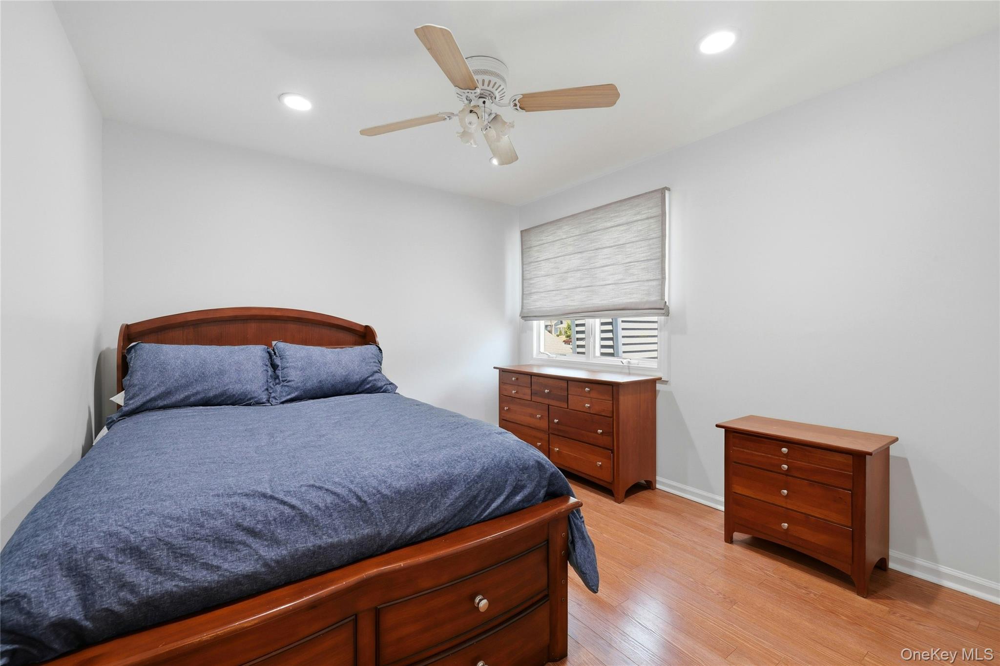 Single Family Jackson Avenue  Nassau County, NY 11010, MLS-1017348-21