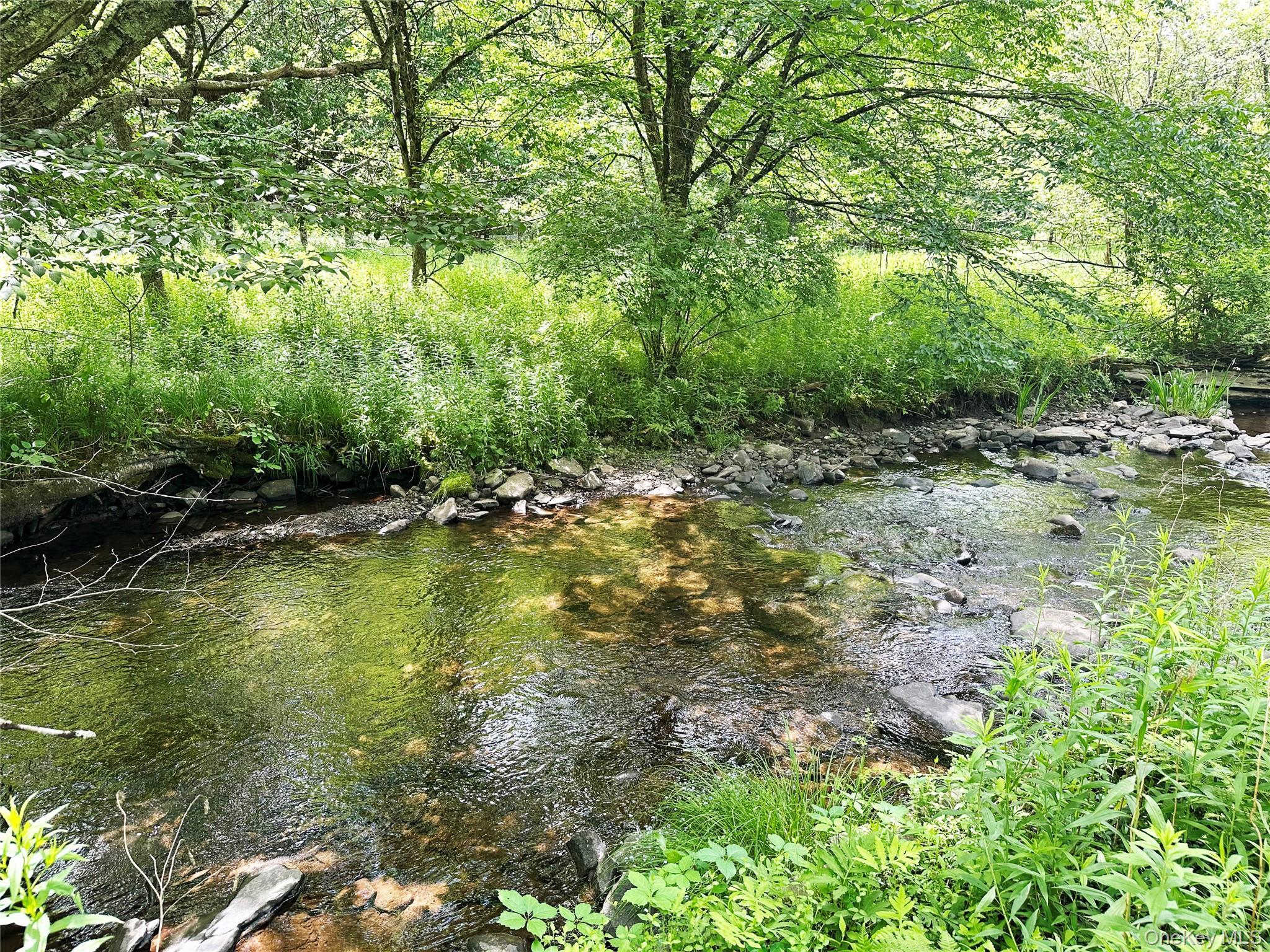 Single Family Methol Road  Delaware County, NY 12776, MLS-1017410-12