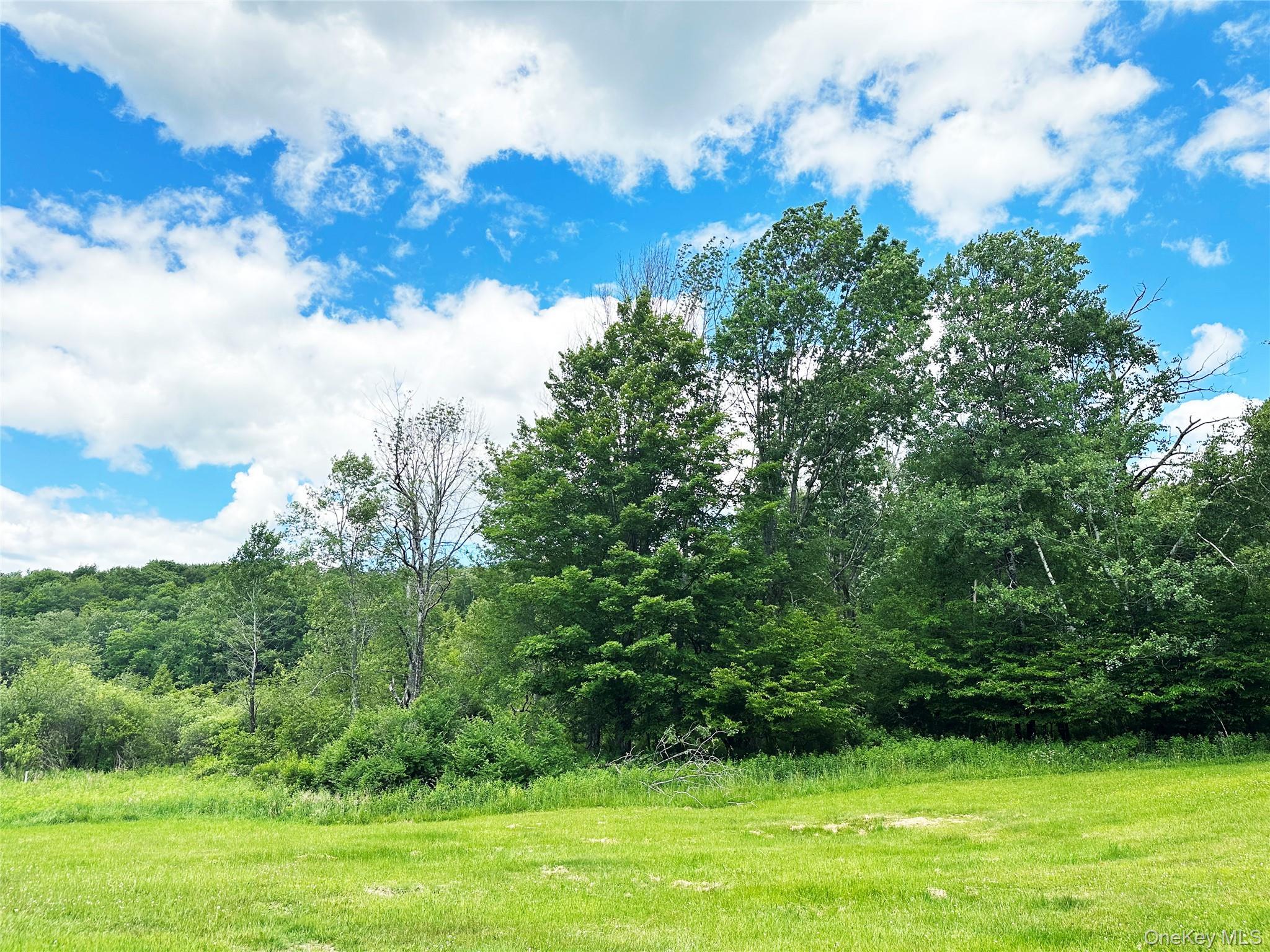 Single Family Methol Road  Delaware County, NY 12776, MLS-1017410-15